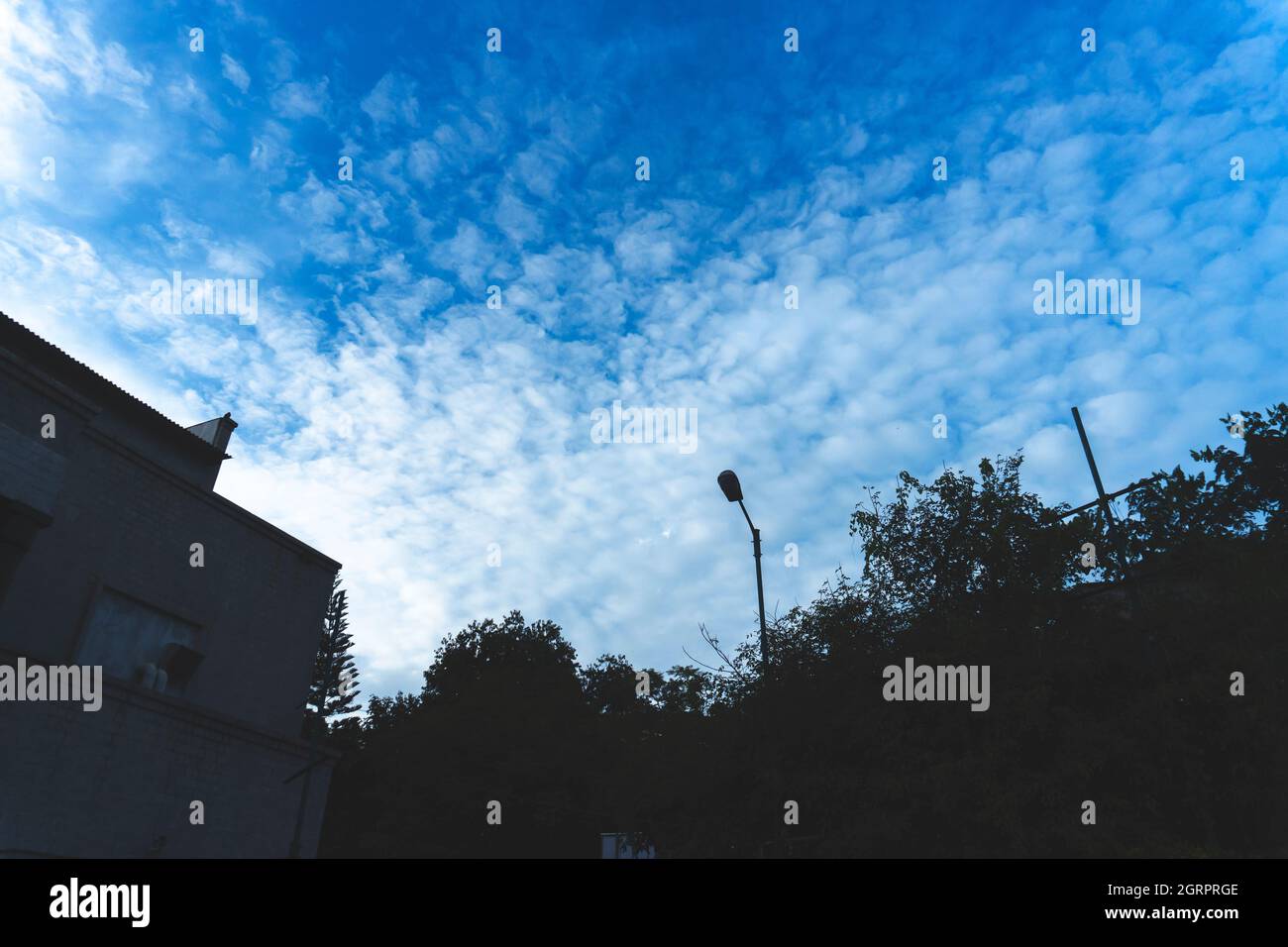 modern office building with tree and sky background Stock Photo - Alamy