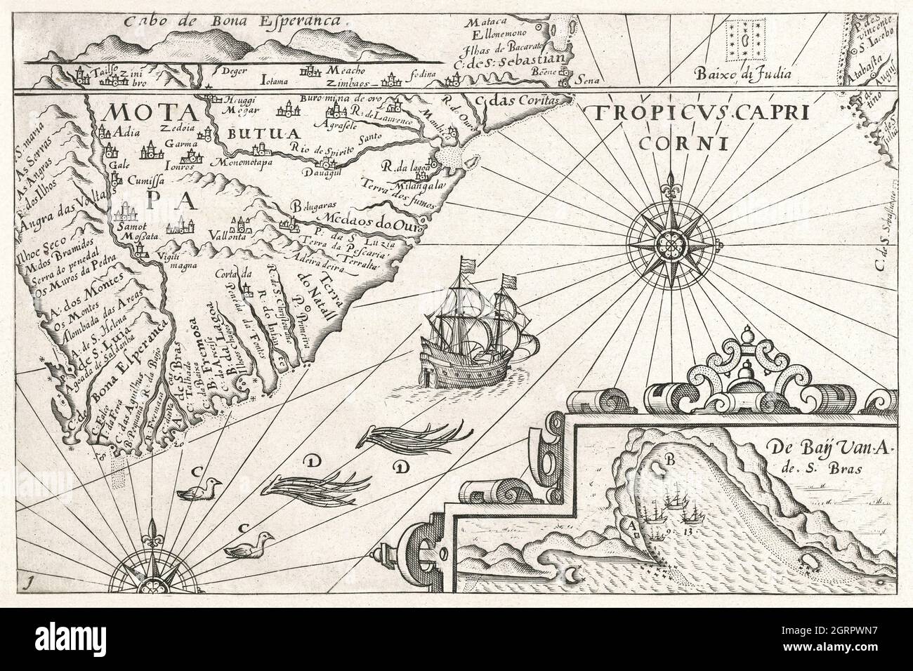 Tropicus Capri High Resolution Stock Photography And Images Alamy tropicus-capri-high-resolution-stock-photography-and-images-alamy