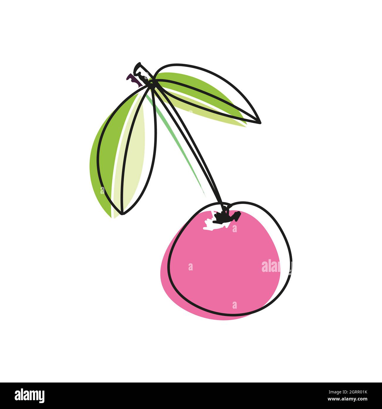 Vector illustration of cherry or sweet cherry in doodle style. Drawing