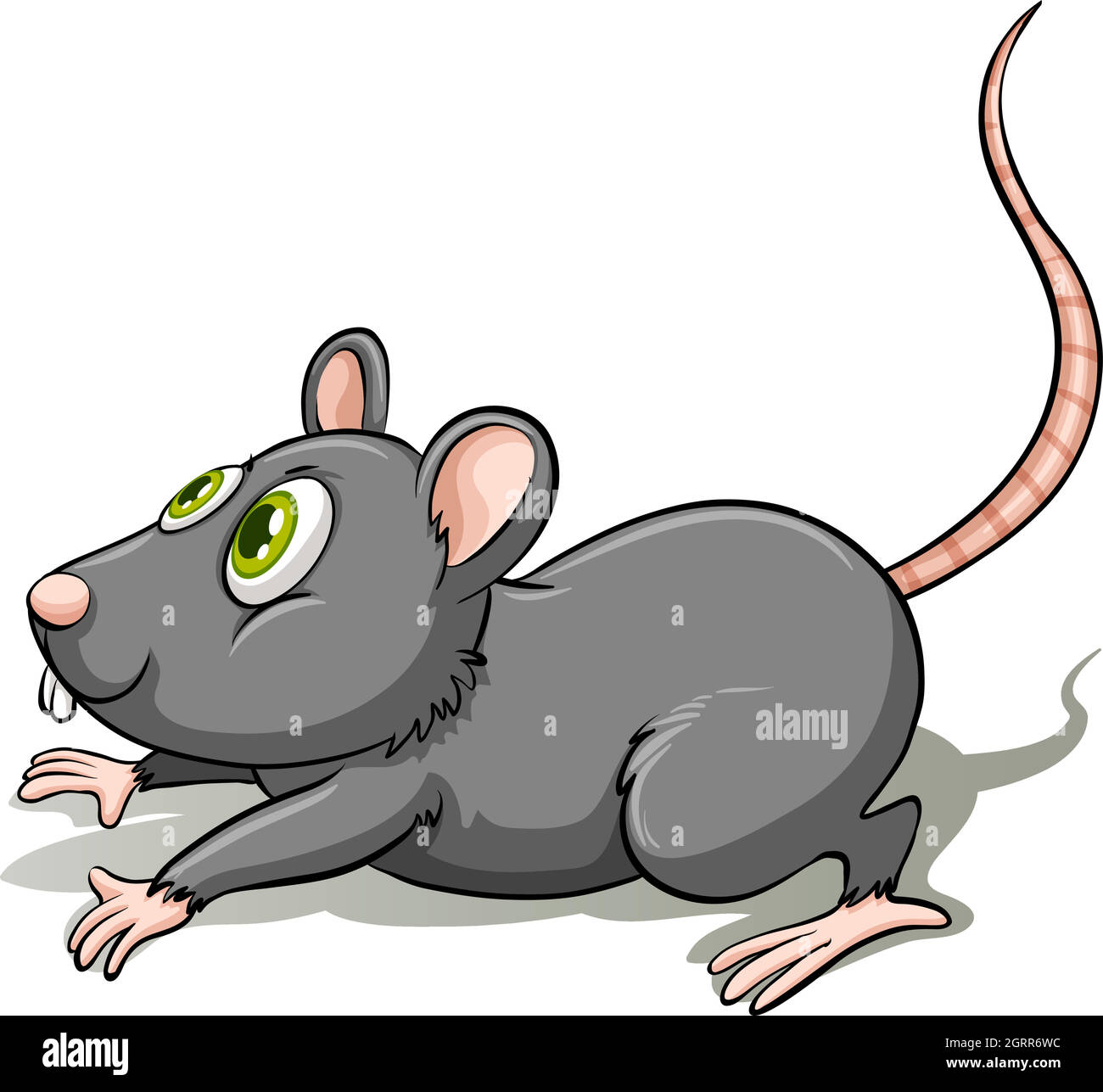 Small rat stock vector images alamy