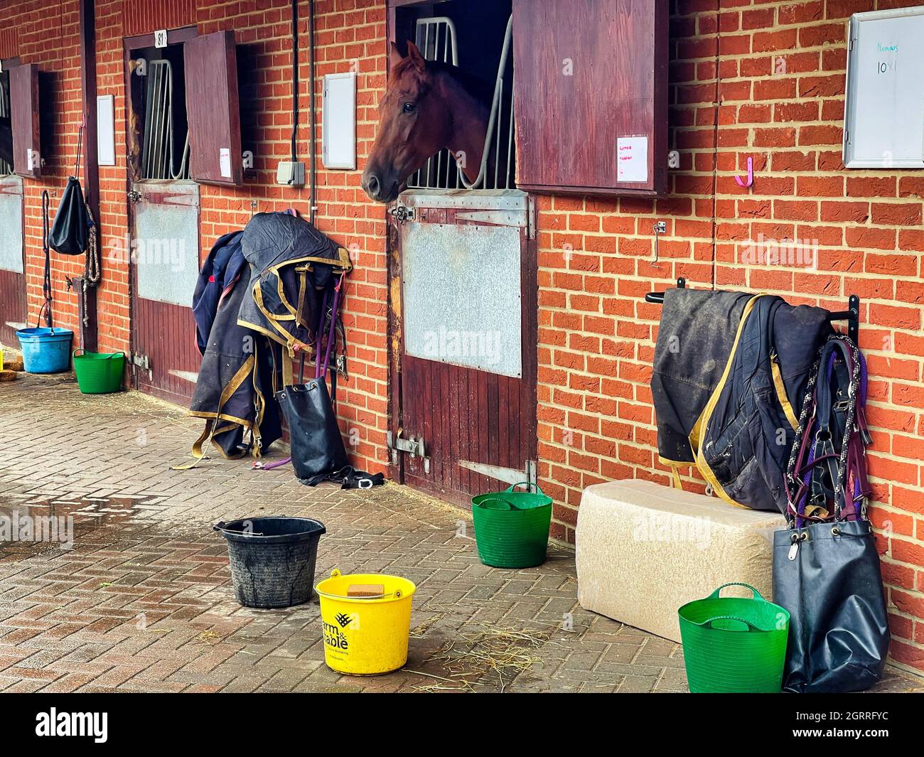 Mucking out the stables hires stock photography and images Alamy