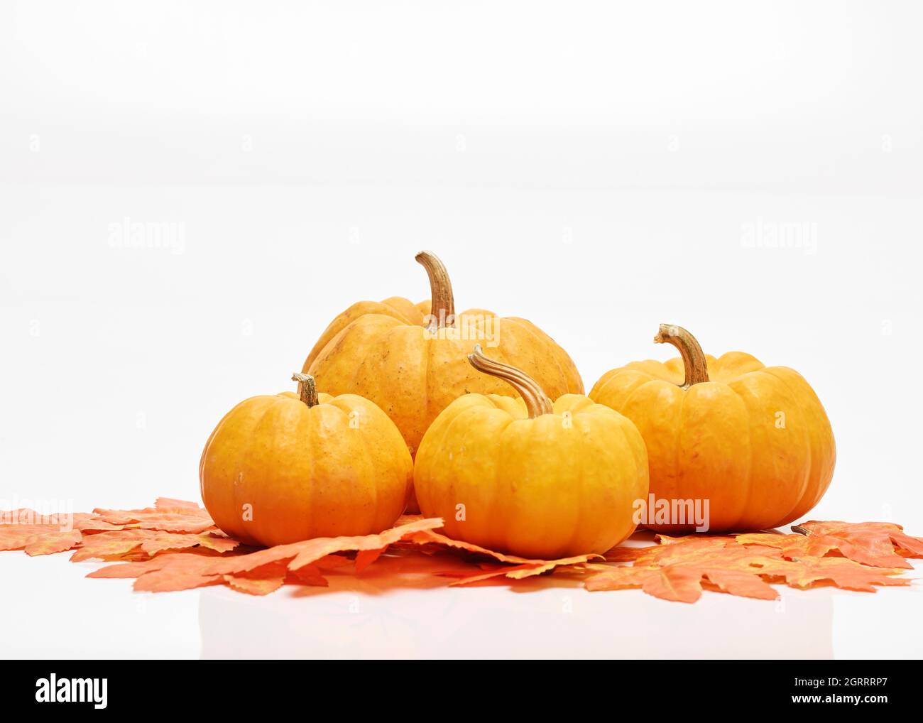 Pumpkins And Autumn Leaves Against White Background Stock Photo