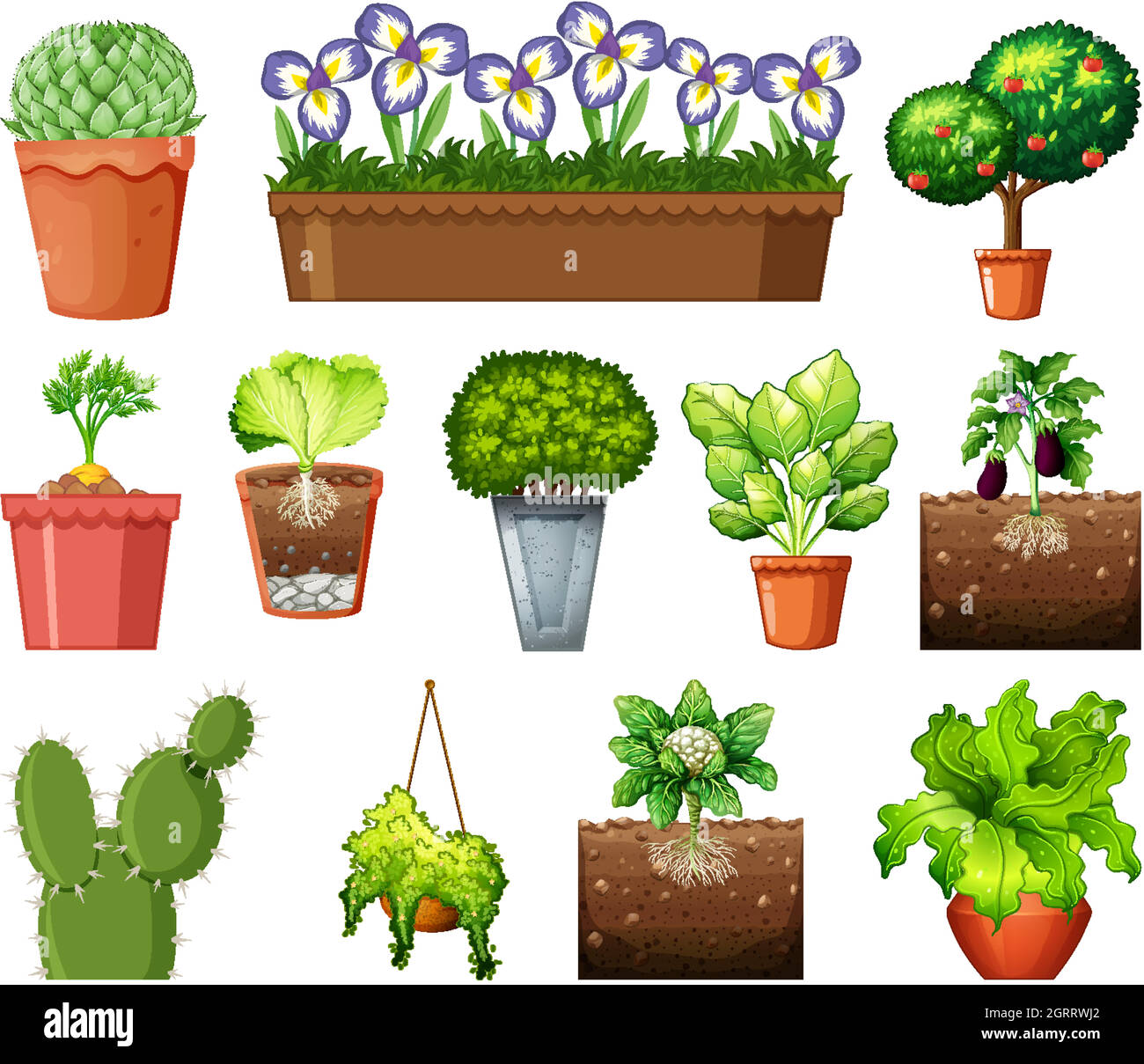 Set of different plants in pots isolated on white background Stock ...