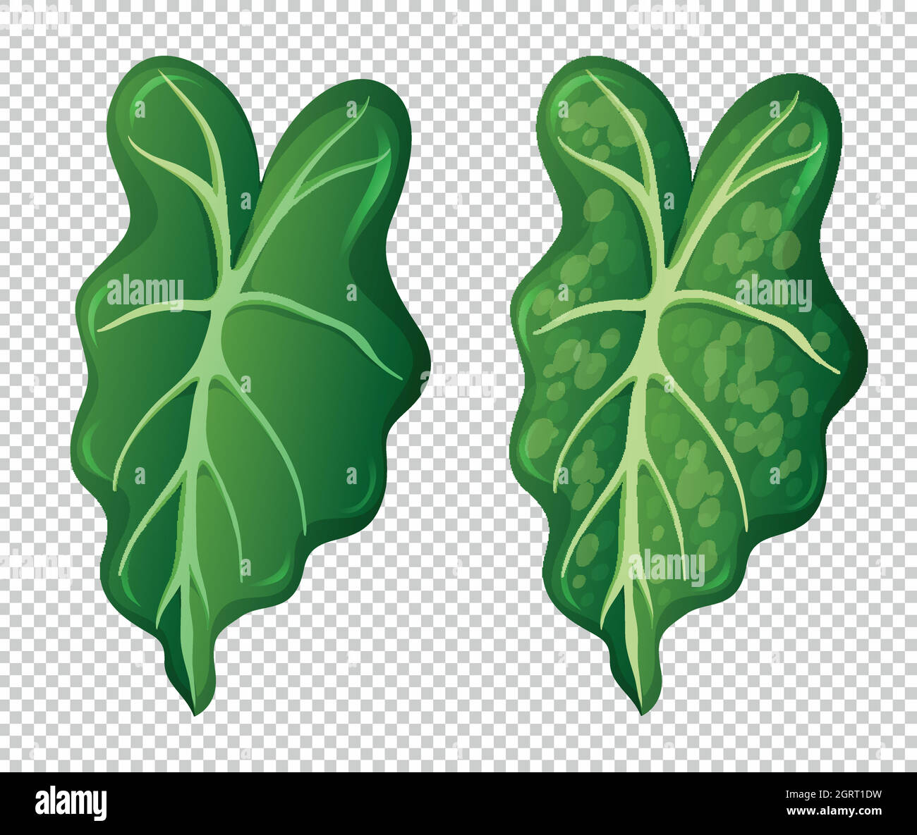 Heart on green leaves Stock Vector Images - Alamy