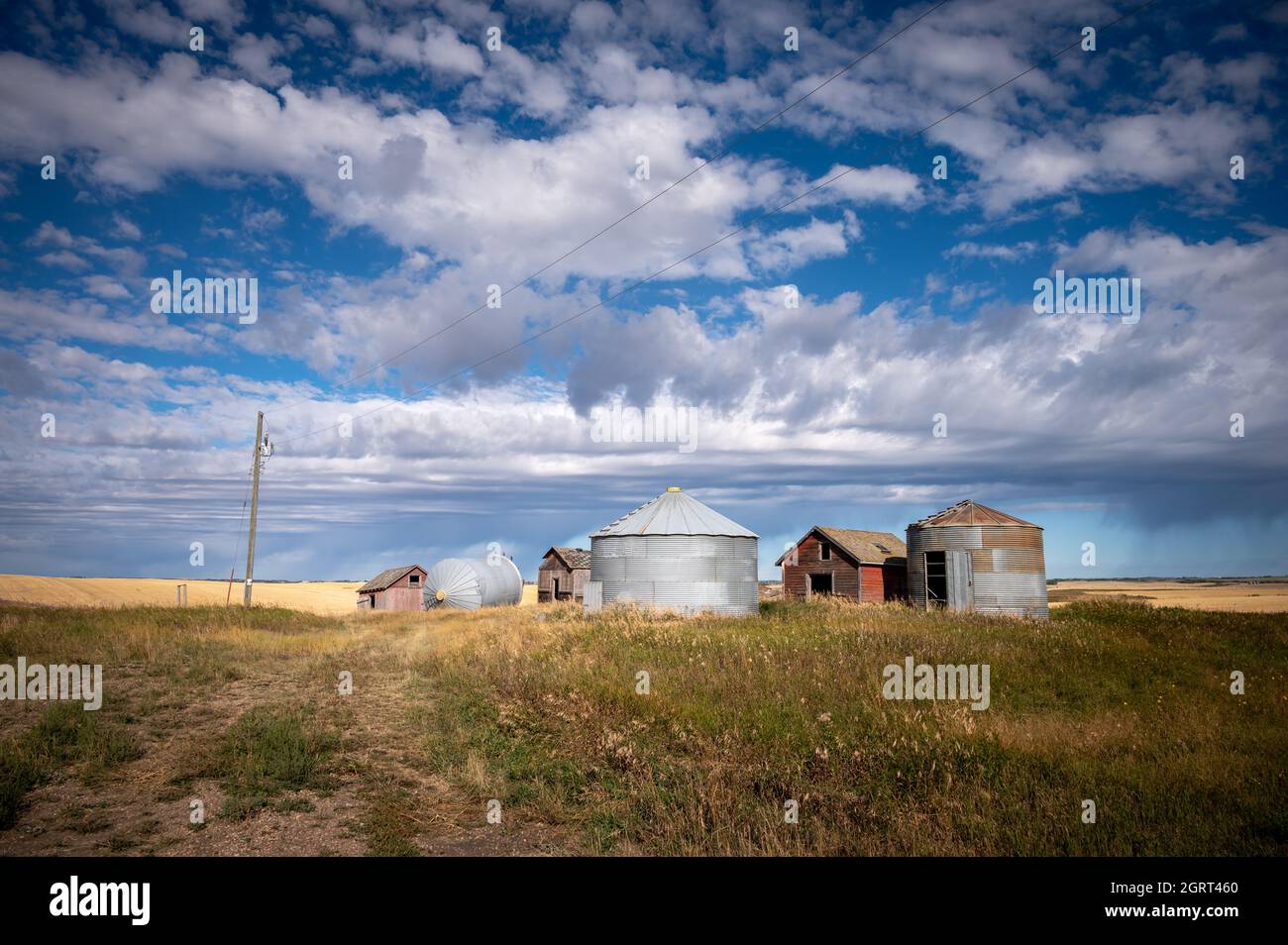 Old grain bins on the prairies of Alberta Stock Photo Alamy