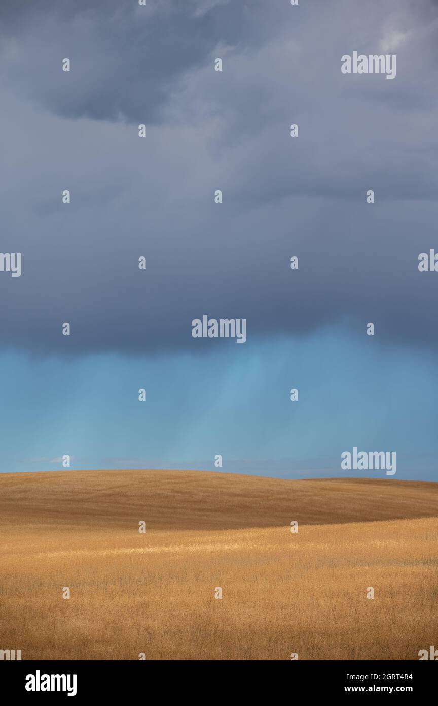 Agricultural fields in fall after harvest Stock Photo - Alamy
