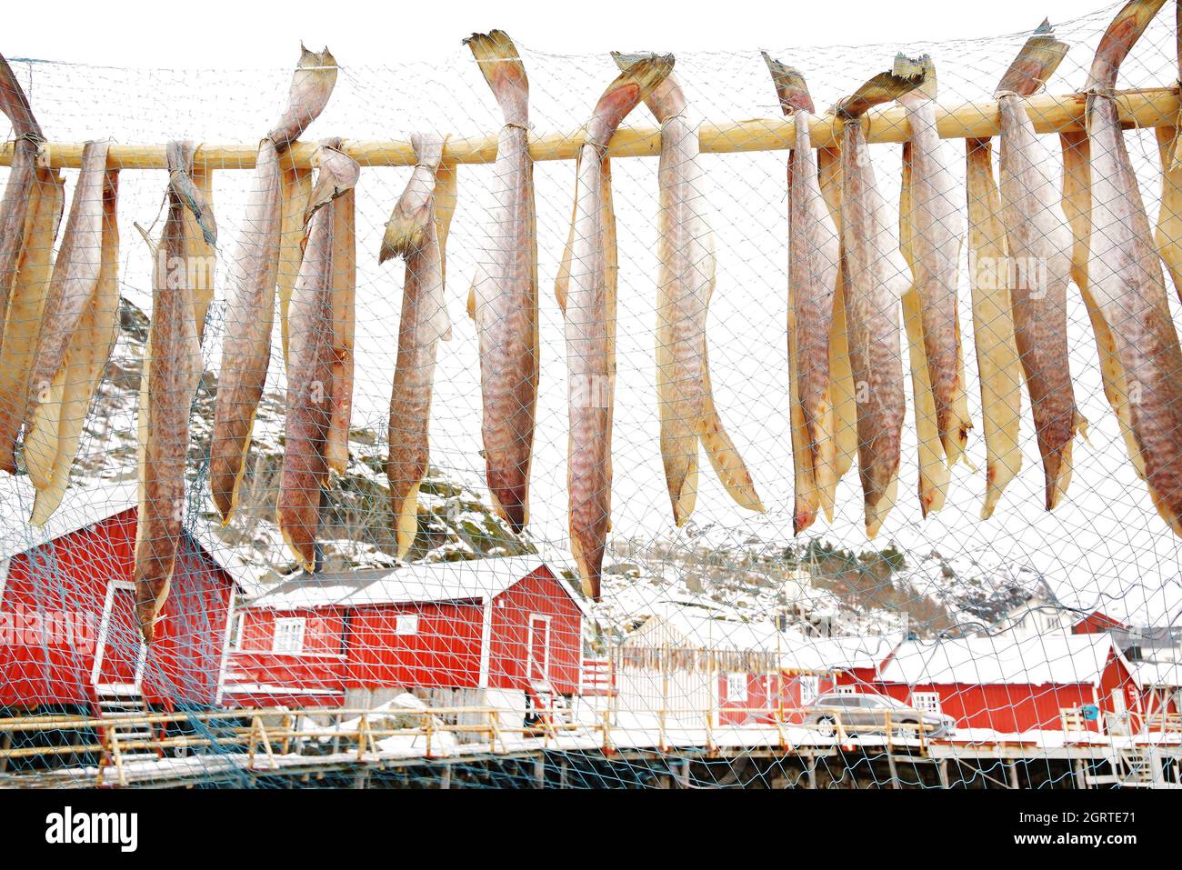 Fish Drying On Bamboo By Fishing Net Stock Photo