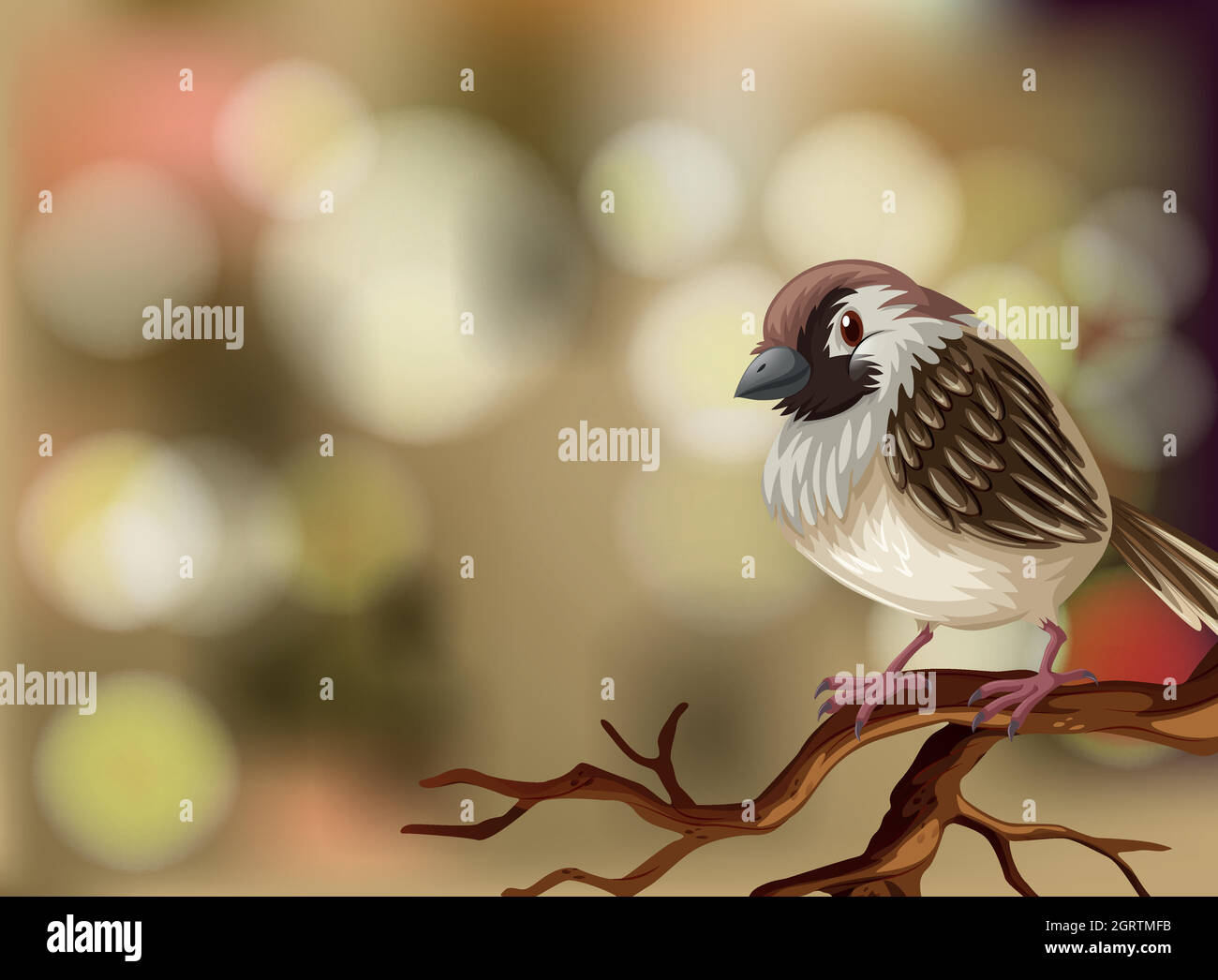 A sparrow on blurry background Stock Vector
