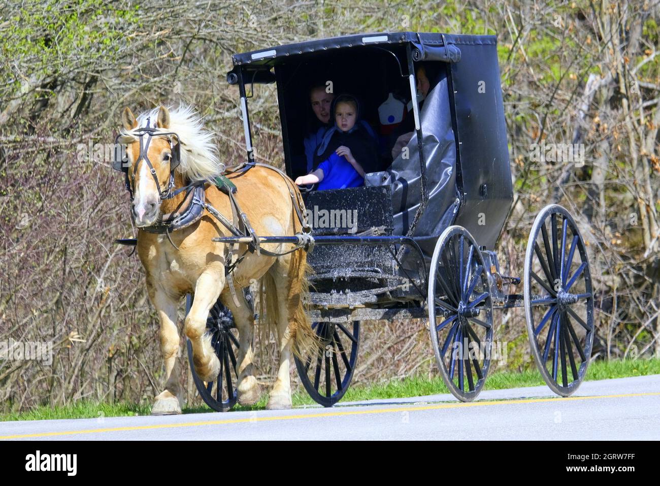 AMISH FAMILY HORSE AND CARRIAGE IN ASHTABULA COUNTY, OHIO, USA Stock