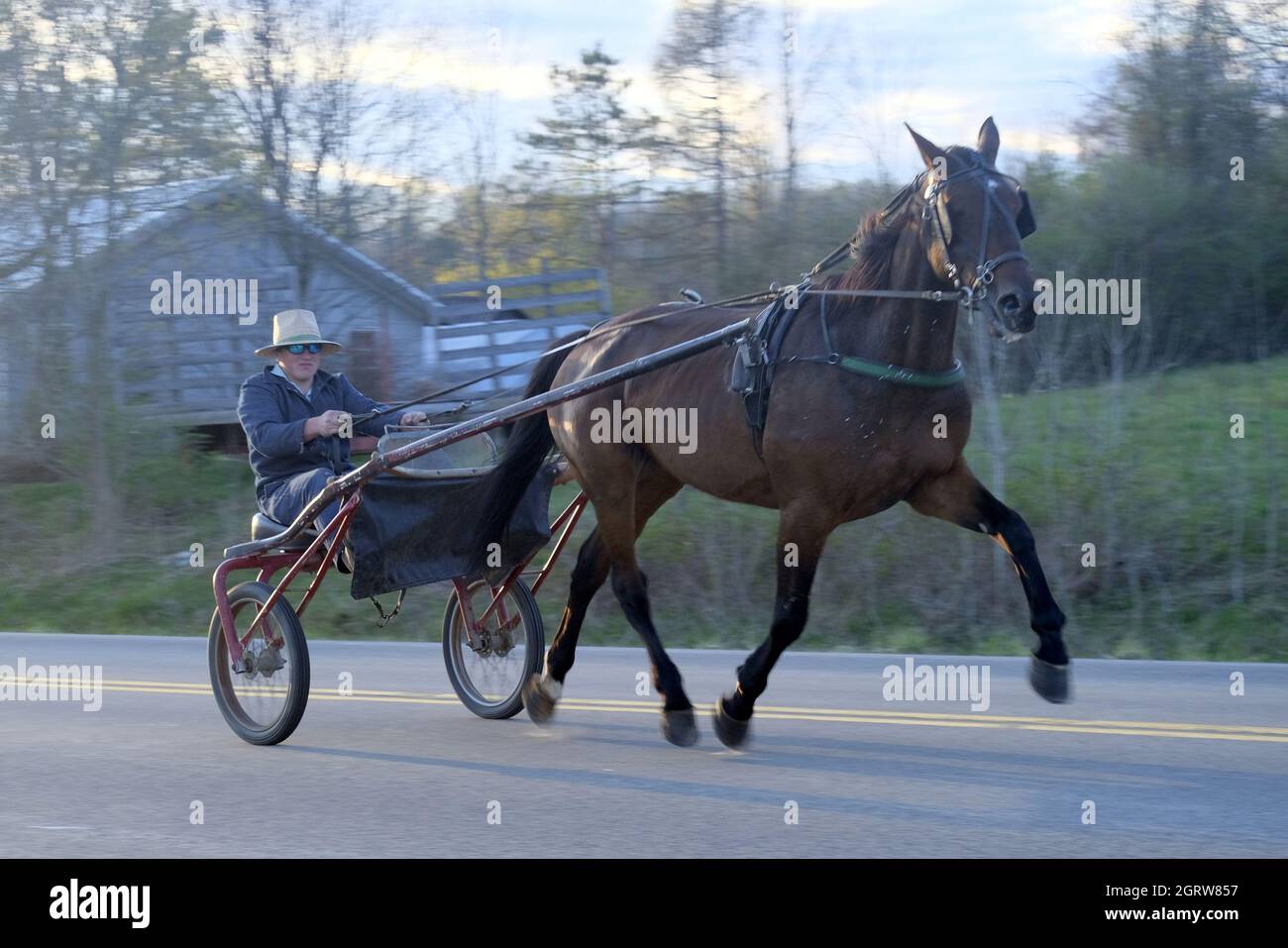 AMISH HORSE AND CARRIAGE IN NEW YORK'S SOUTHERN TIER Stock Photo