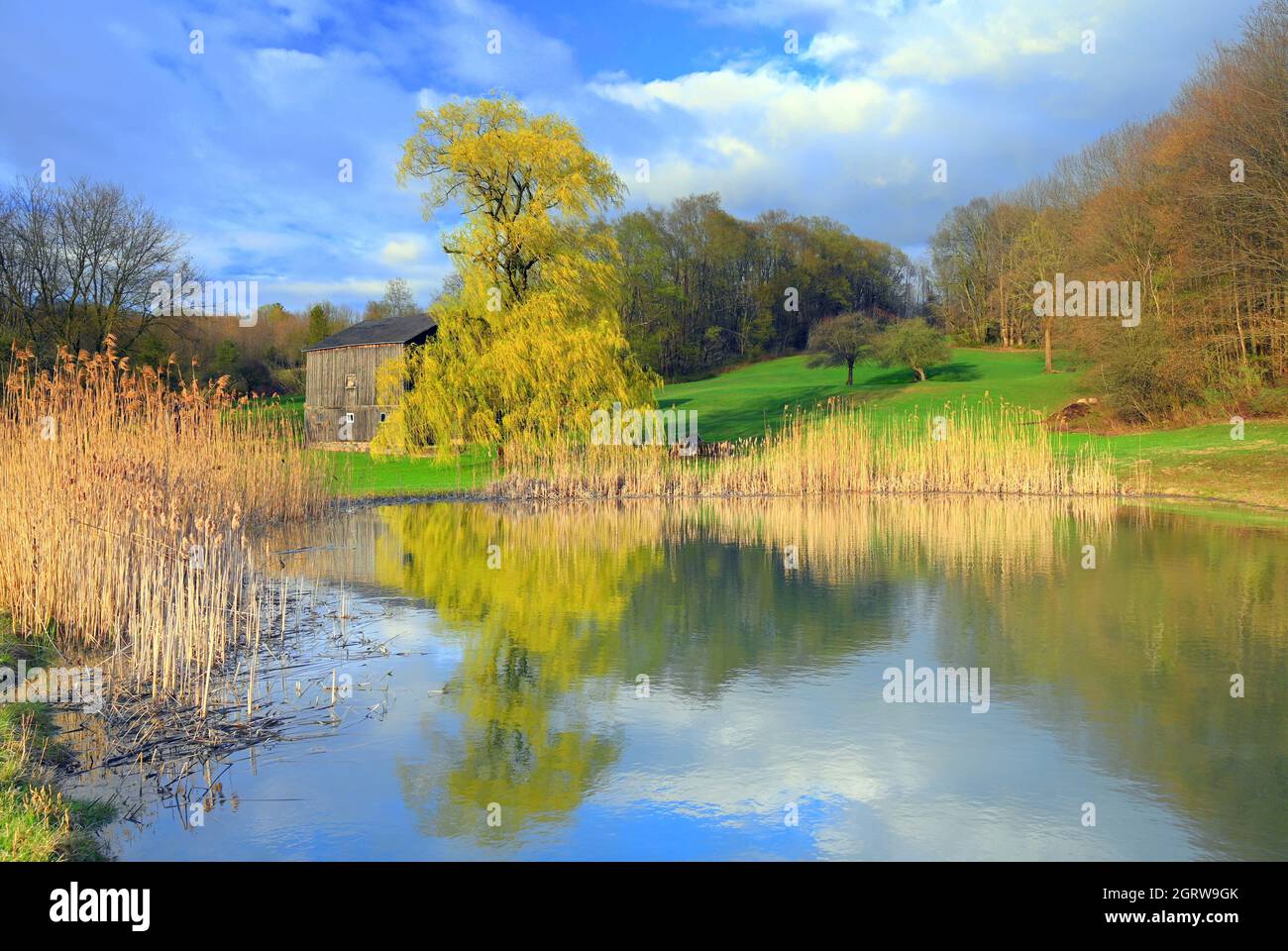 OLD BARN AND POND...CHAUTAUQUA COUNTY, NEW YORK Stock Photo