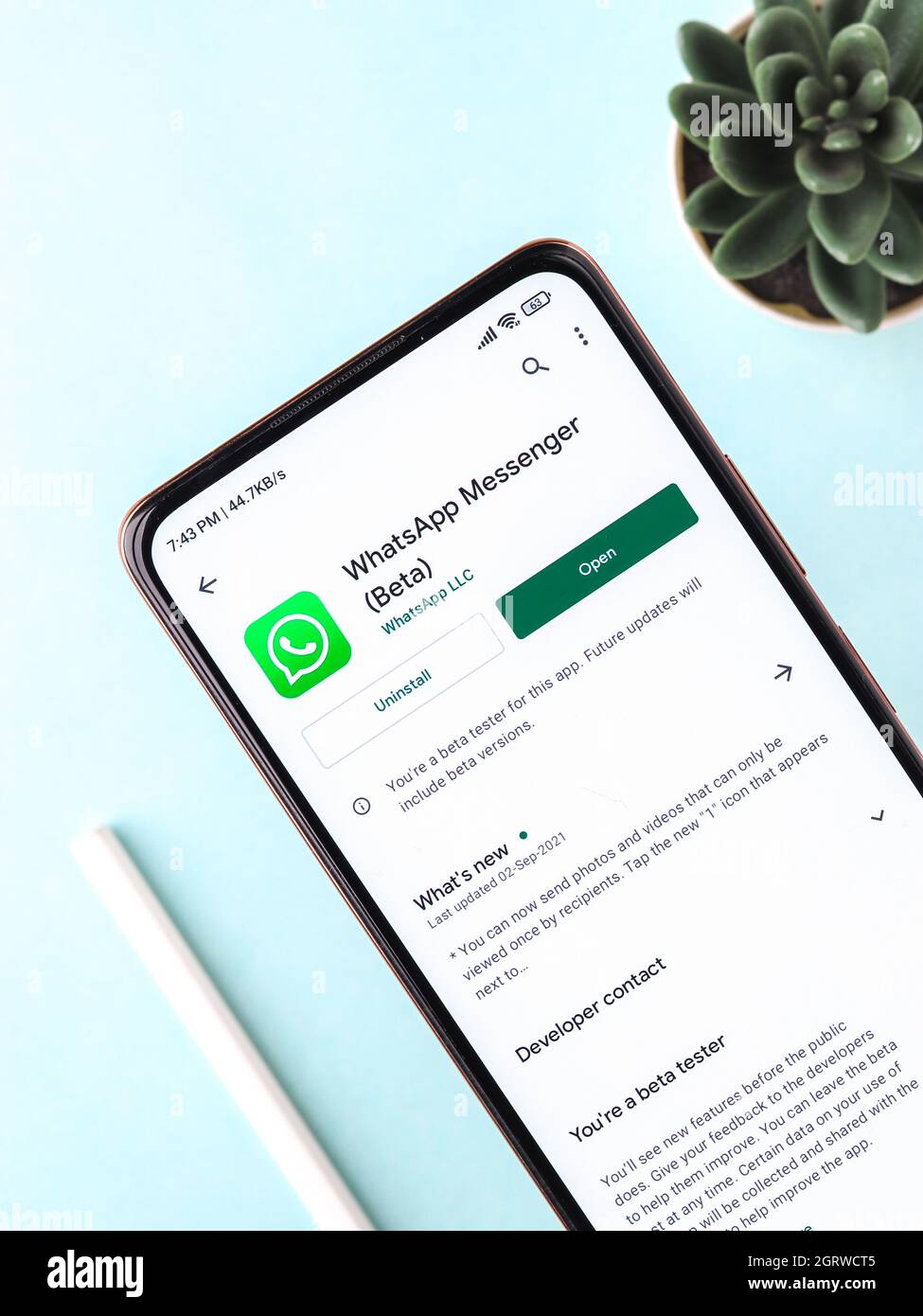 West Bangal, India - September 28, 2021 : WhatsApp logo on phone screen stock image. Stock Photo