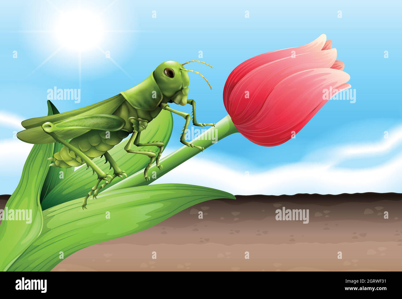 A grasshopper and the flower bud Stock Vector