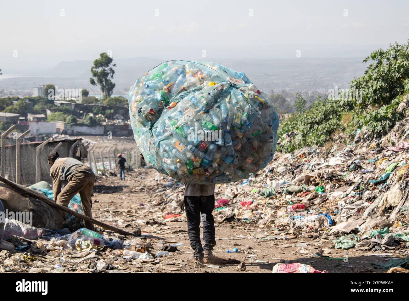 Nakuru, Rift Valley, Kenya. 1st Oct, 2021. A man carries a heavy load