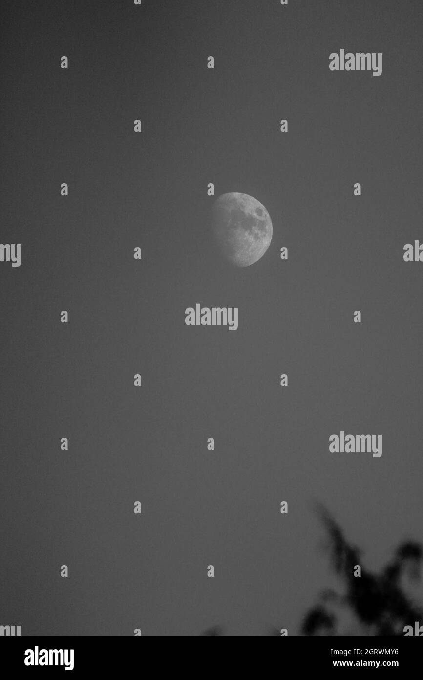 Waxing gibbous on a clear sky in the evening Stock Photo Alamy