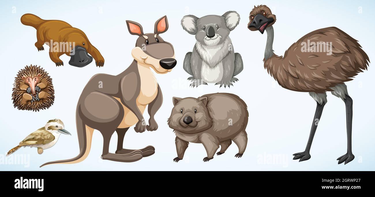Different types of wild animals in Australia Stock Vector Image & Art - Alamy Different types of wild animals in Australia Stock Vector Image & Art - Alamy