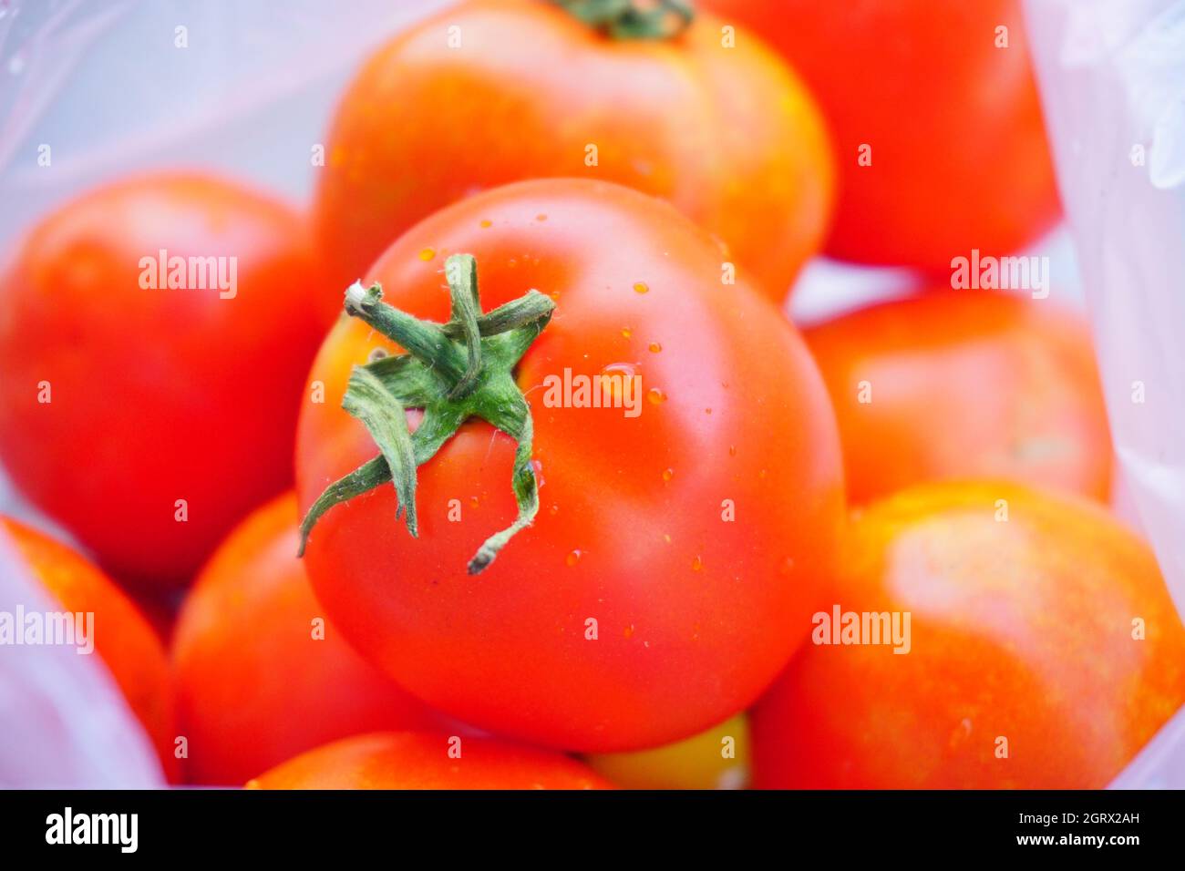 Close-up Of Tomatoes Stock Photo