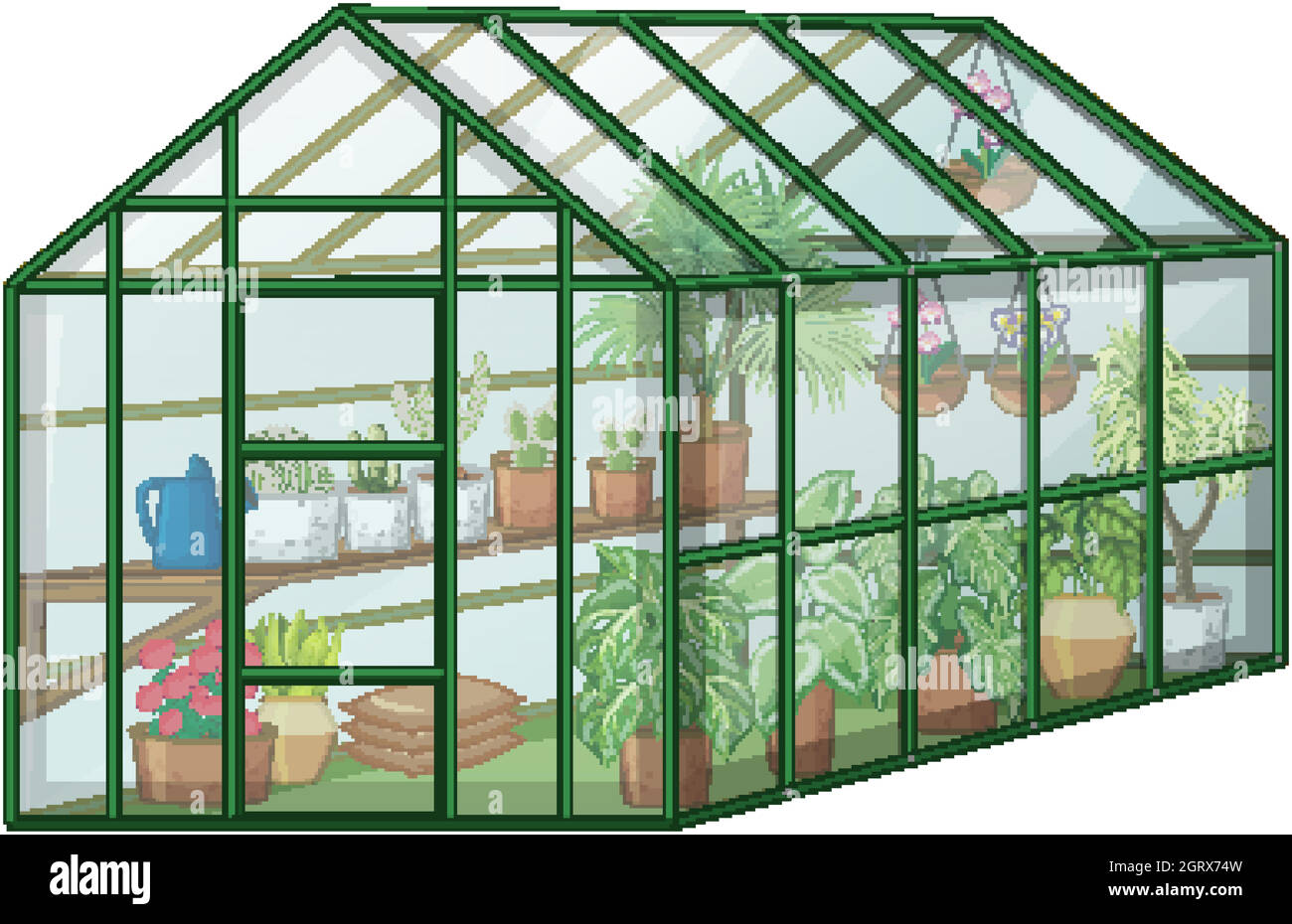 Many Plants in Greenhouse with glass wall on white background Stock Vector