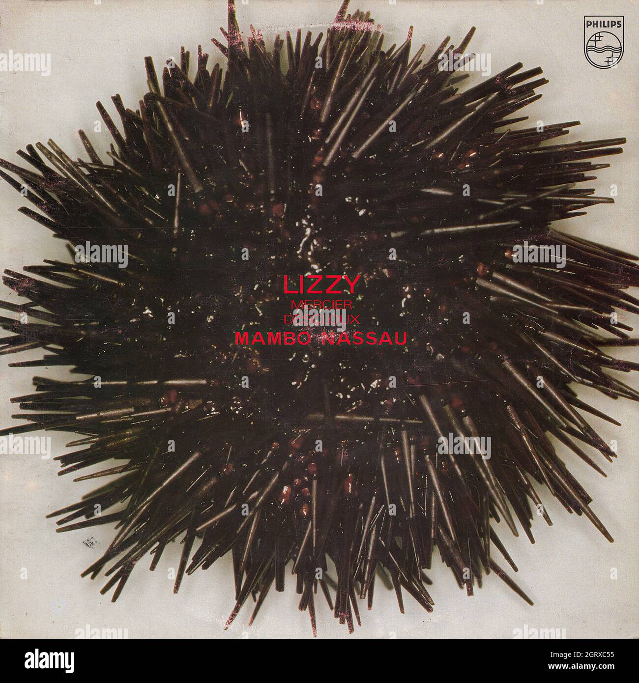 Lizzy mercier descloux hi-res stock photography and images - Alamy