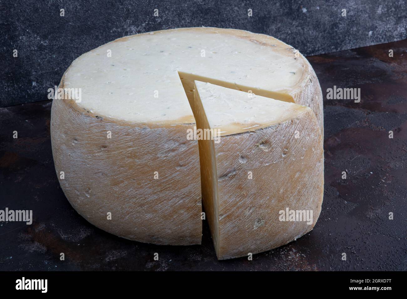 Old cheddar cheese. Wheel aged cheese. Aged cheddar cheese wheel on