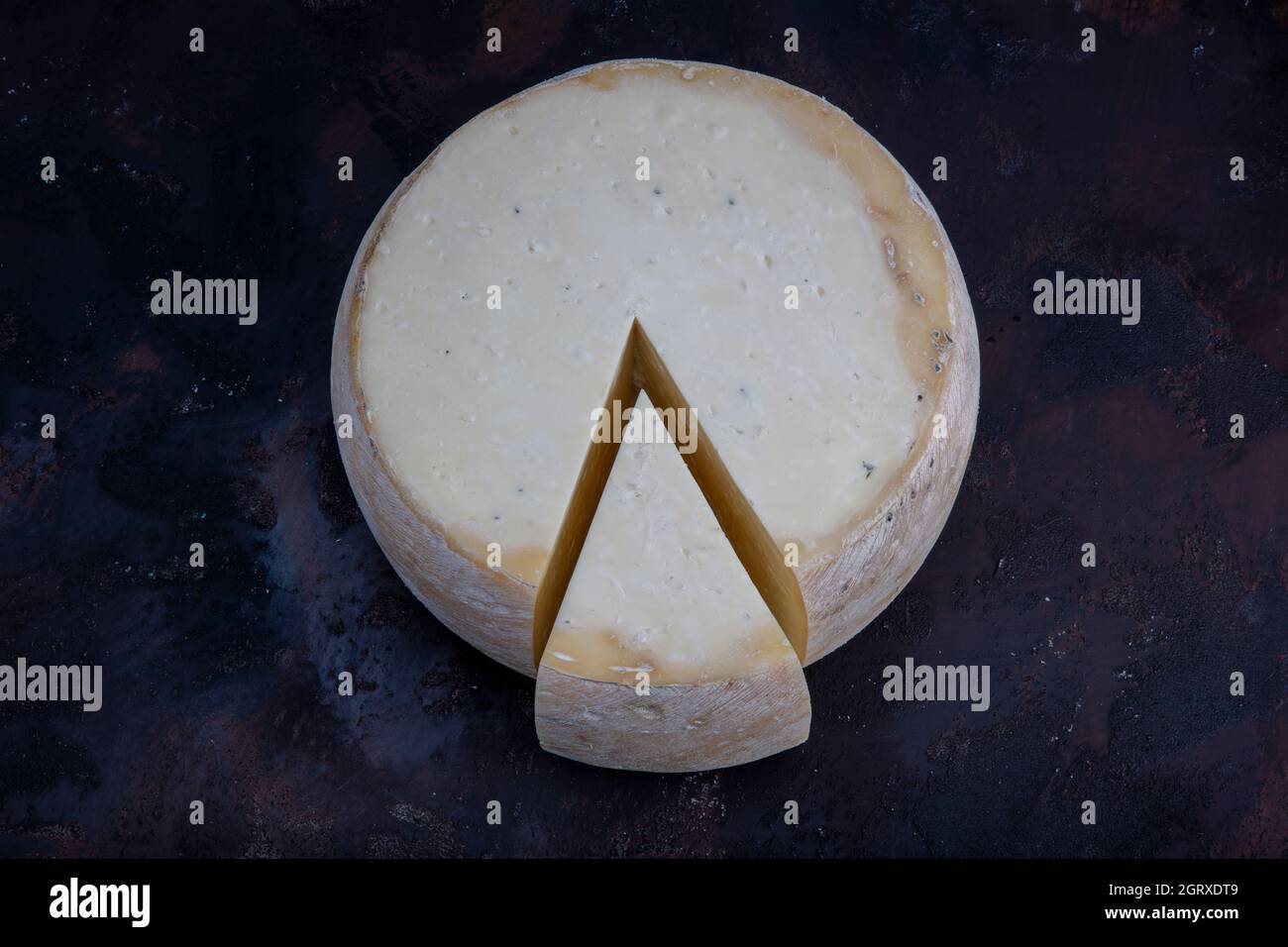 Old cheddar cheese. Wheel aged cheese. Aged cheddar cheese wheel on