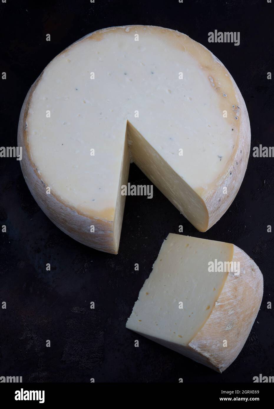 Old cheddar cheese. Wheel aged cheese. Aged cheddar cheese wheel on