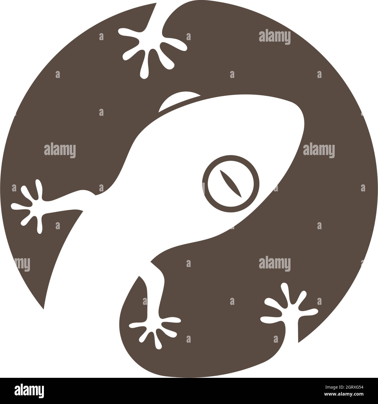 Gecko logo vector icon illustration Stock Vector Image & Art - Alamy