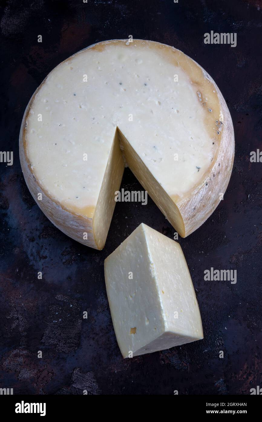 Old cheddar cheese. Wheel aged cheese. Aged cheddar cheese wheel on dark wooden floor Stock