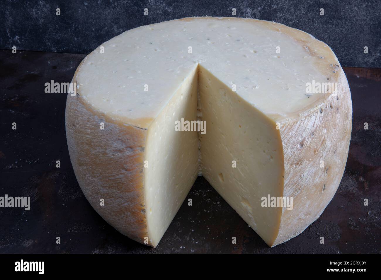 Old cheddar cheese. Wheel aged cheese. Aged cheddar cheese wheel on