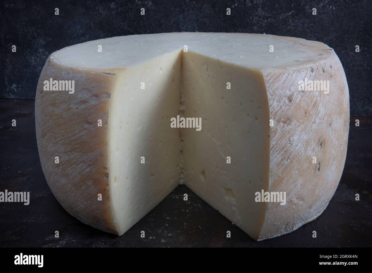Old cheddar cheese. Wheel aged cheese. Aged cheddar cheese wheel on