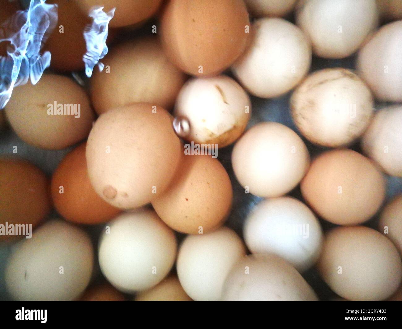 Full Frame Shot Of Eggs In Water Stock Photo