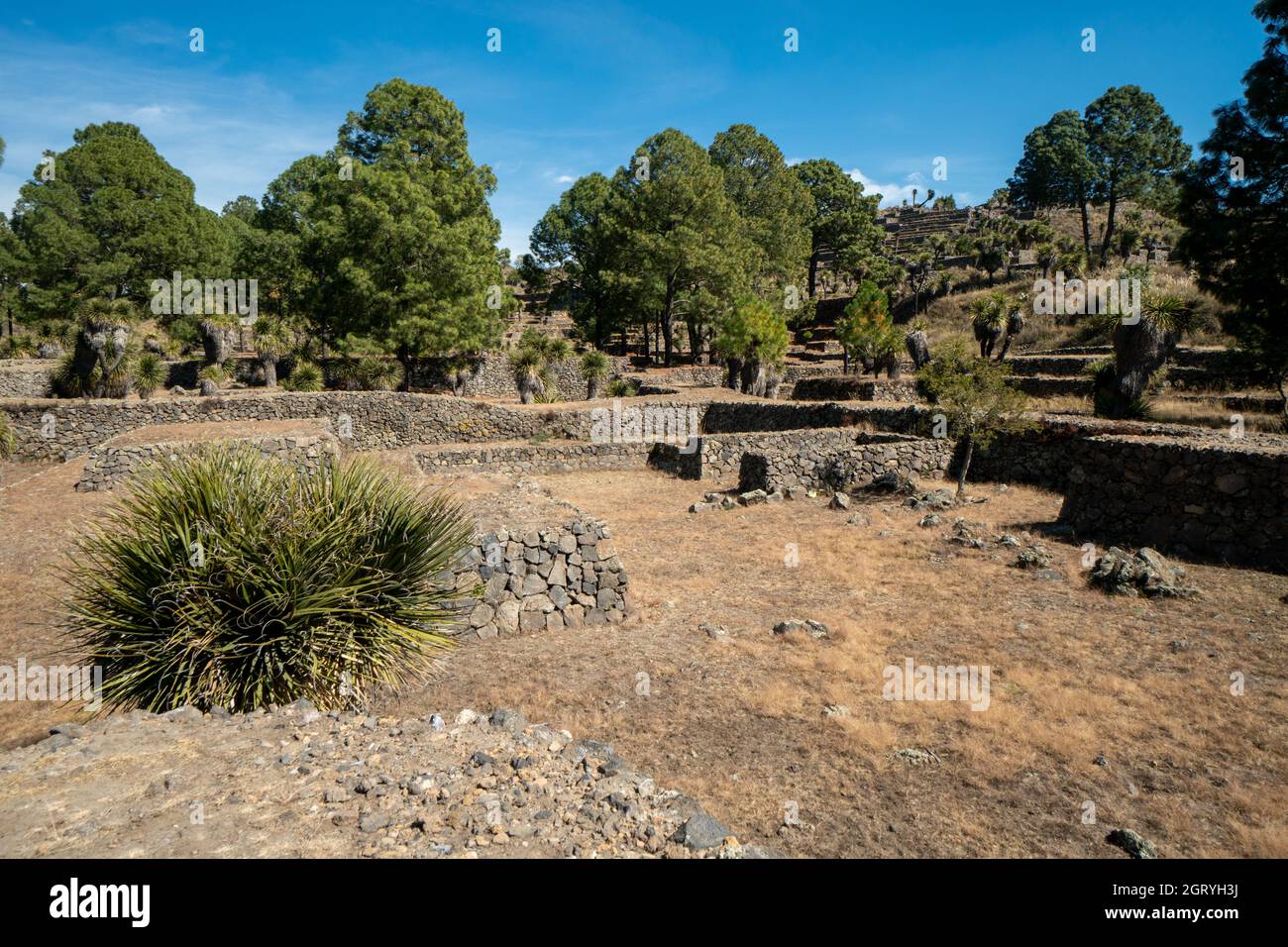 Cantona, Puebla, Mexico - A Mesoamerican Archaeoligical Site With Only Few Visitors Stock Photo