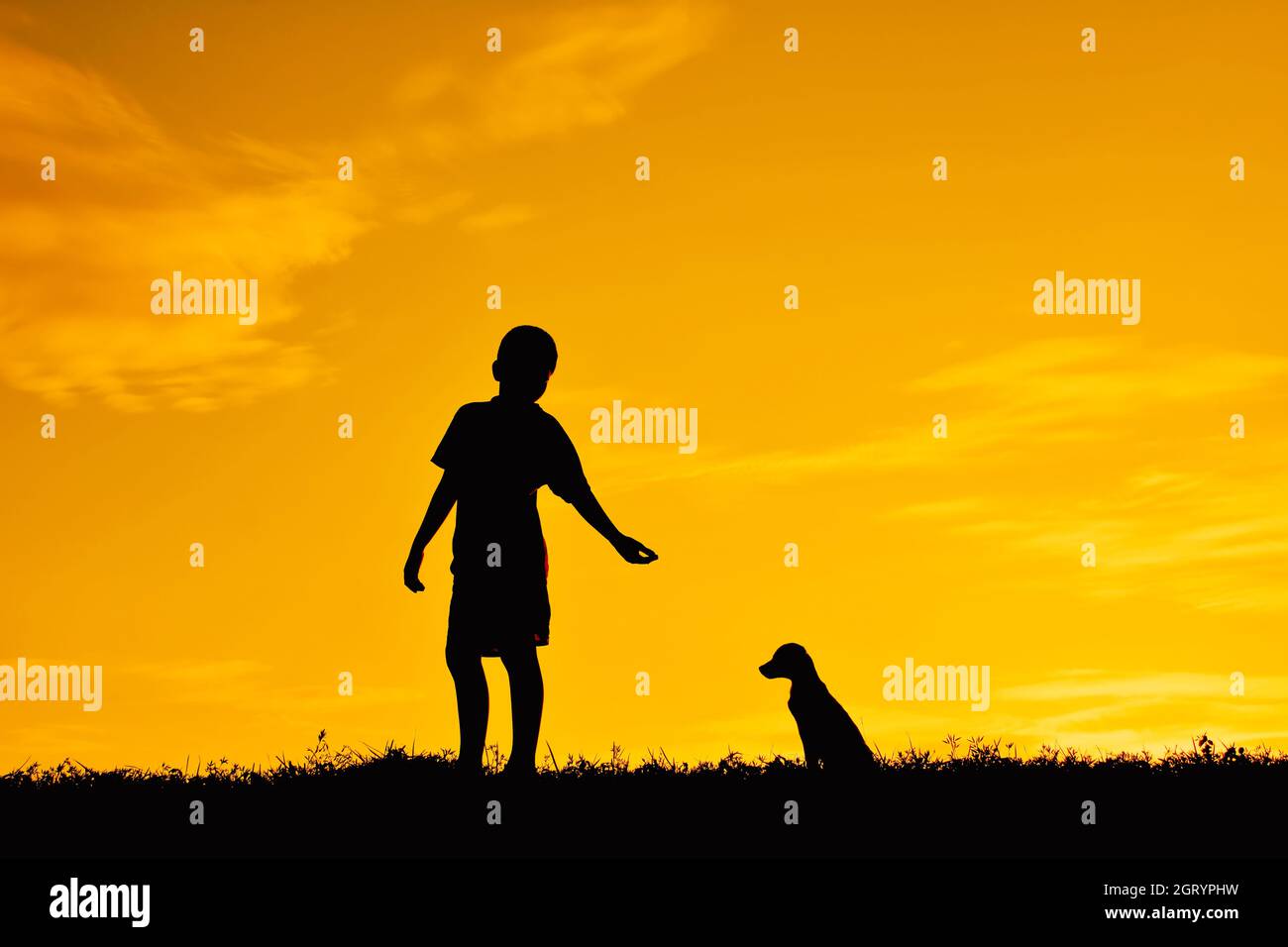 Silhouette Boy With Dog On Field Against Sky During Sunset Stock Photo
