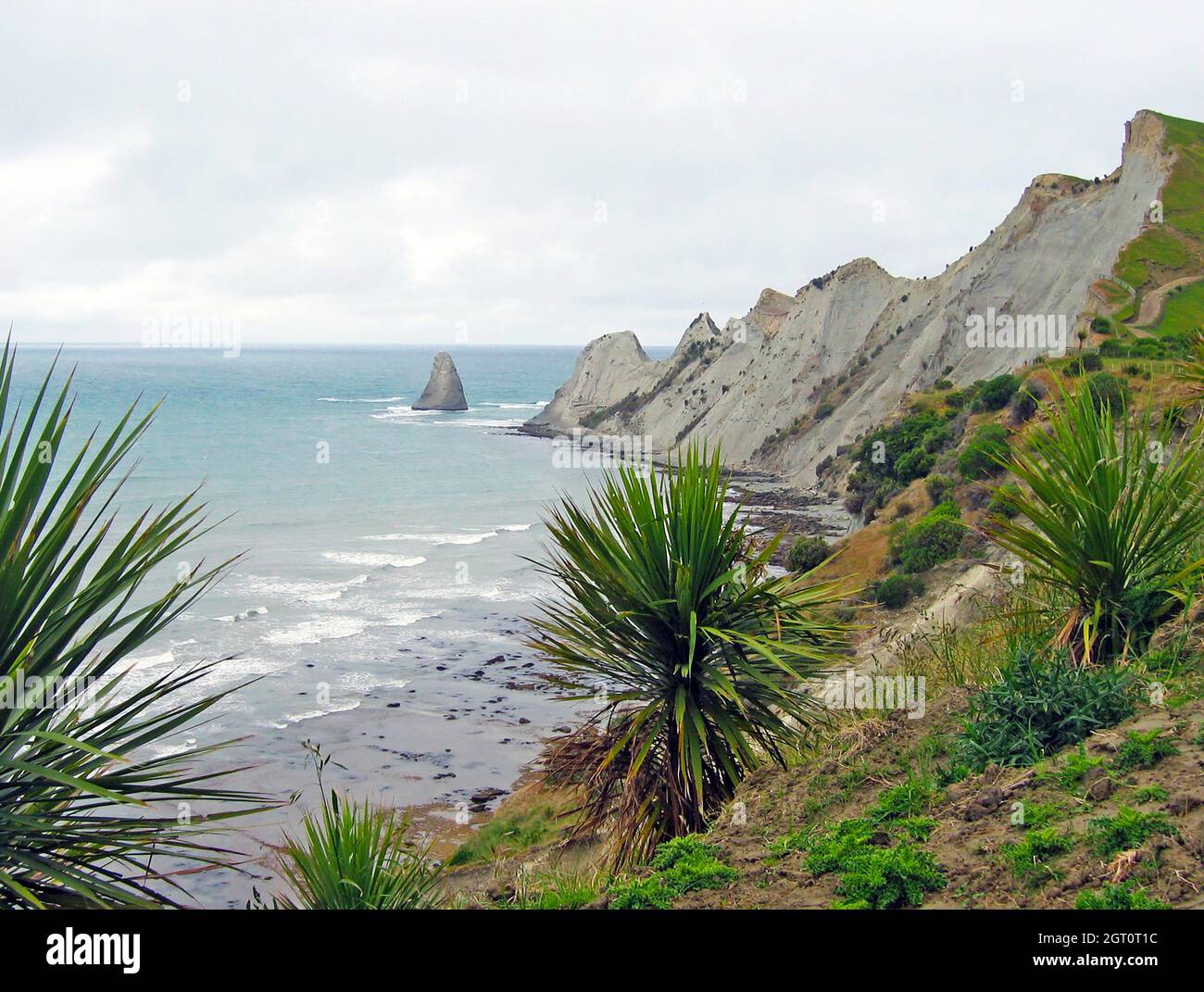 Cape Kidnappers in Hawkes Bay, North Island, New Zealand.  The cape was named after an attempt by local Māori to, according to Captain Cook, abduct a member of Cook's crew aboard the HMS Endeavour, during a landfall there on 15 October 1769. Stock Photo