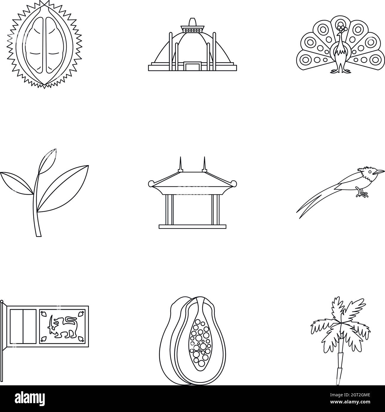 Lychee Plantation Stock Vector Images Alamy