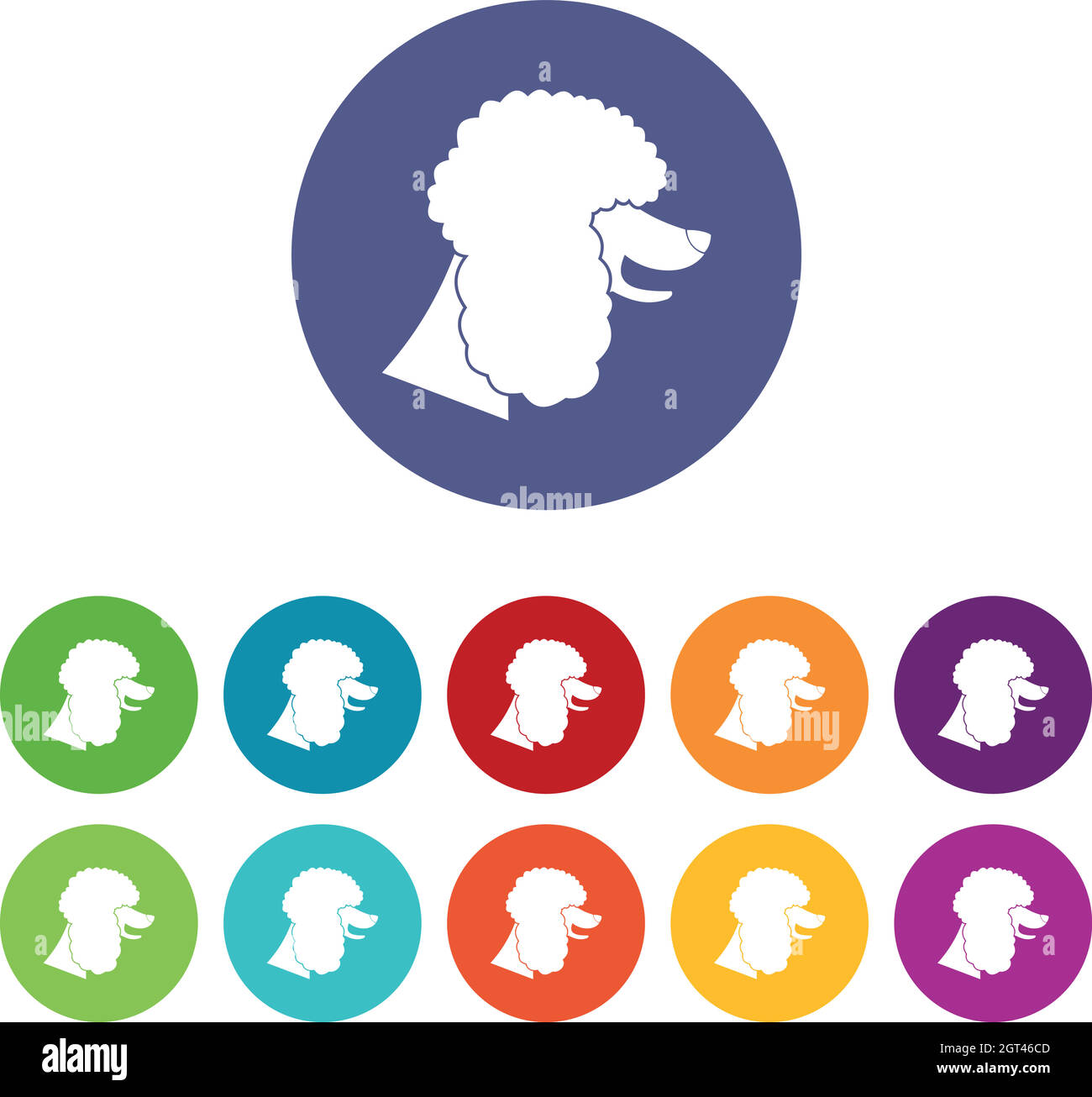 Poodle dog set icons Stock Vector Image & Art - Alamy