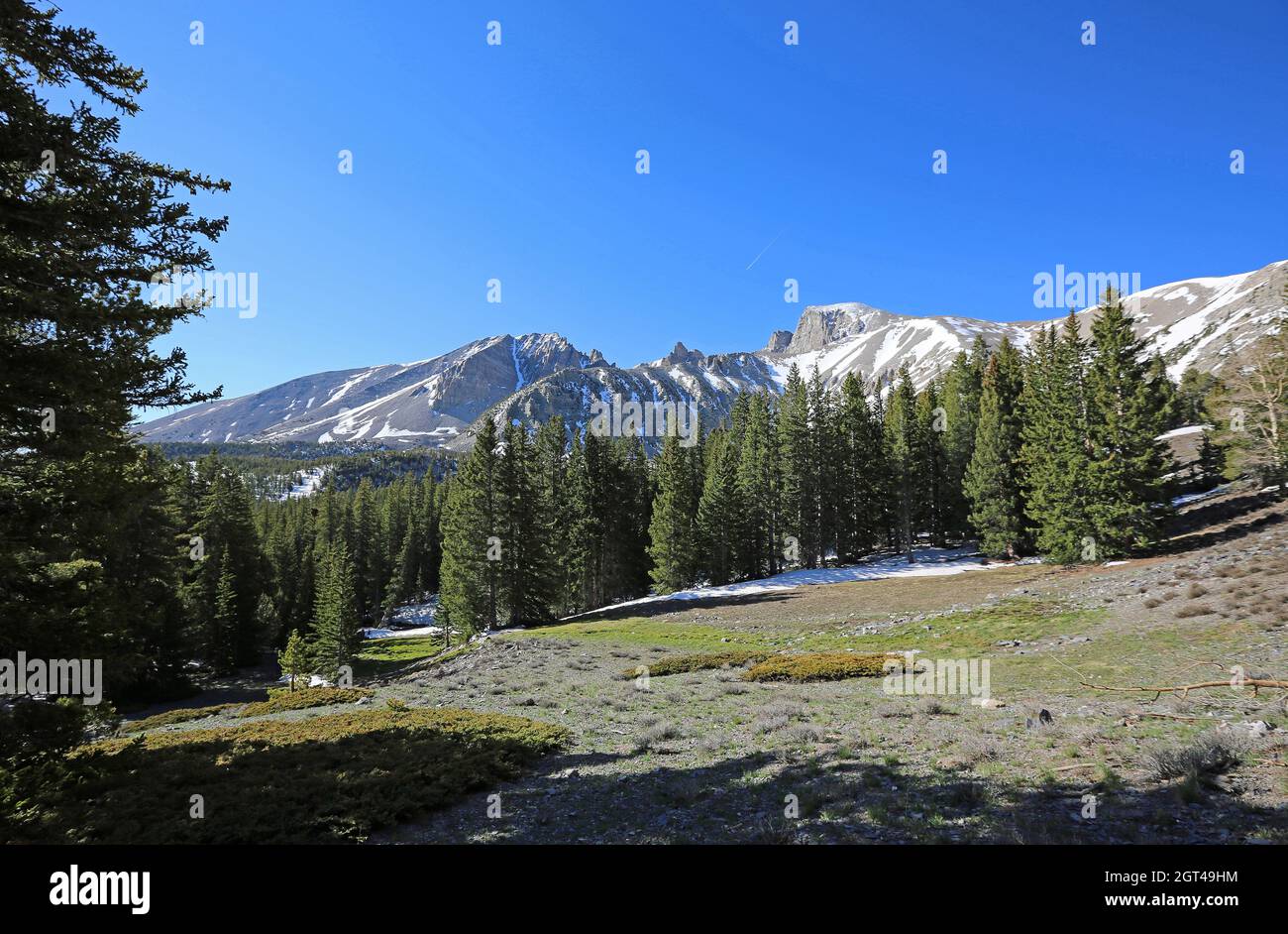 Idyll in Great Basin National Park, Nevada Stock Photo