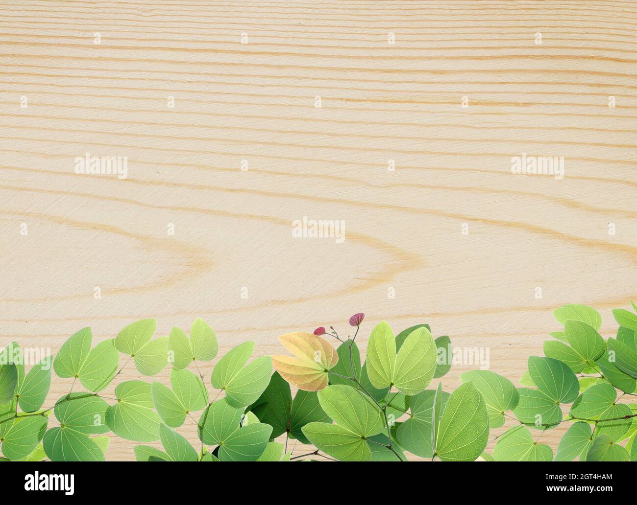 Oak furniture land hires stock photography and images Alamy