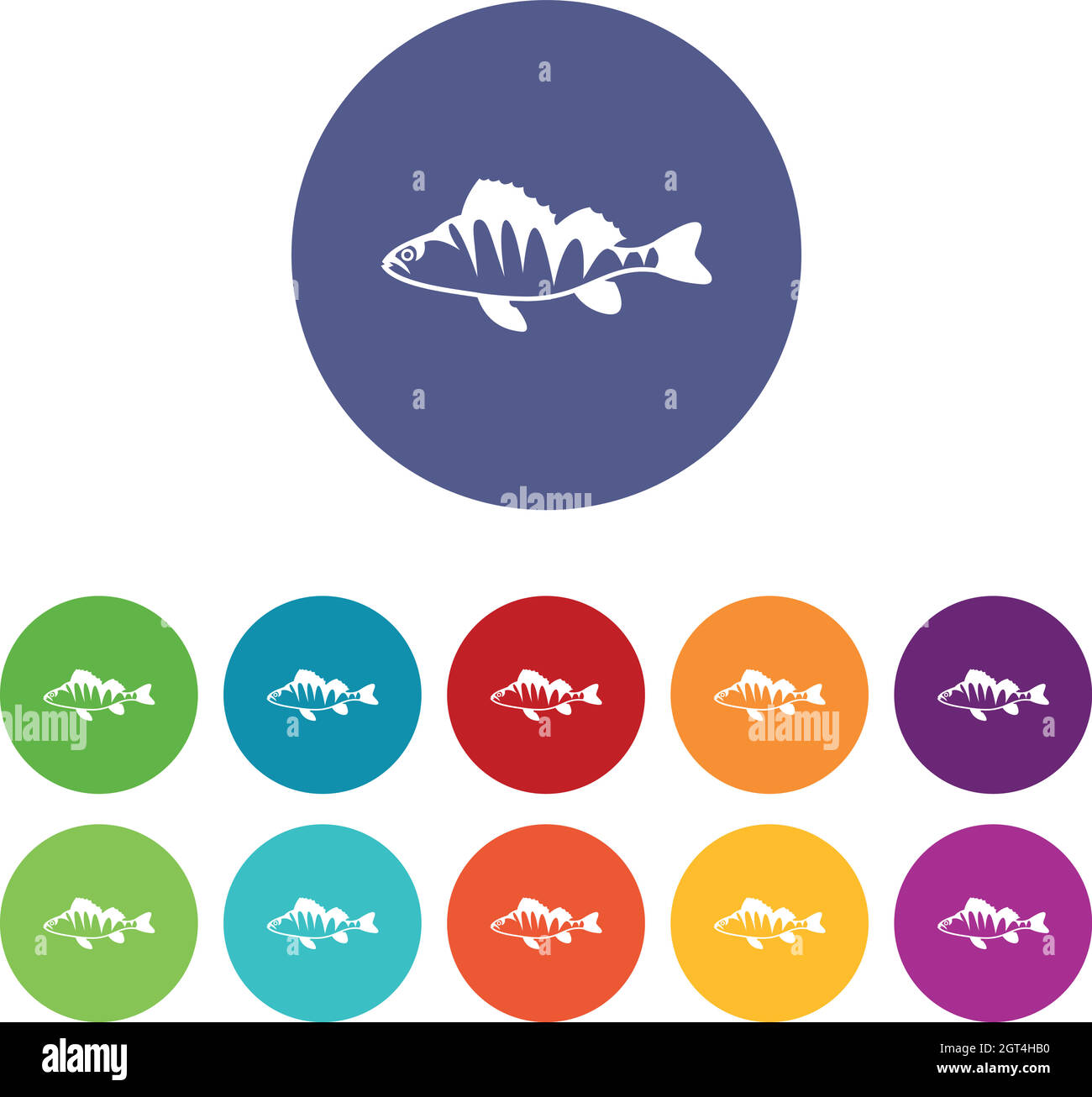 Raw sea bass Stock Vector Images - Alamy