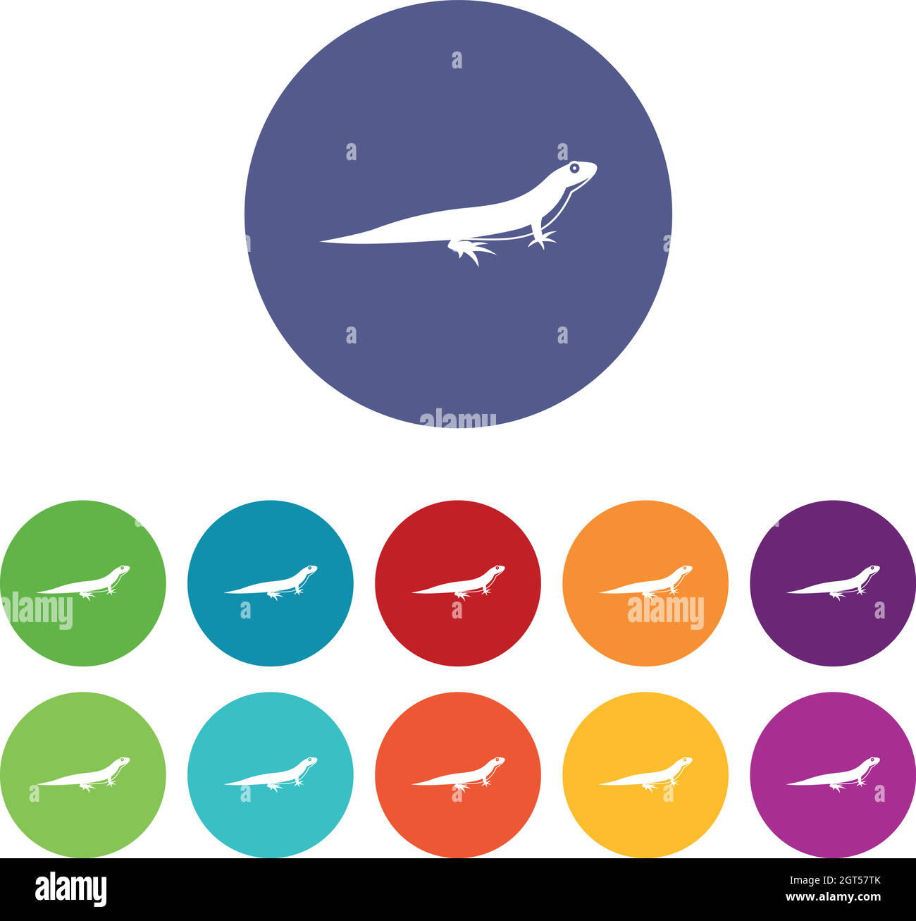 Lizard set icons Stock Vector Image & Art - Alamy