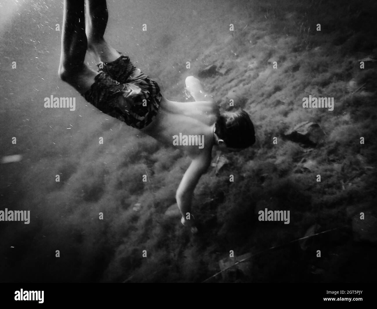 Boy Diving In Lake Stock Photo Alamy