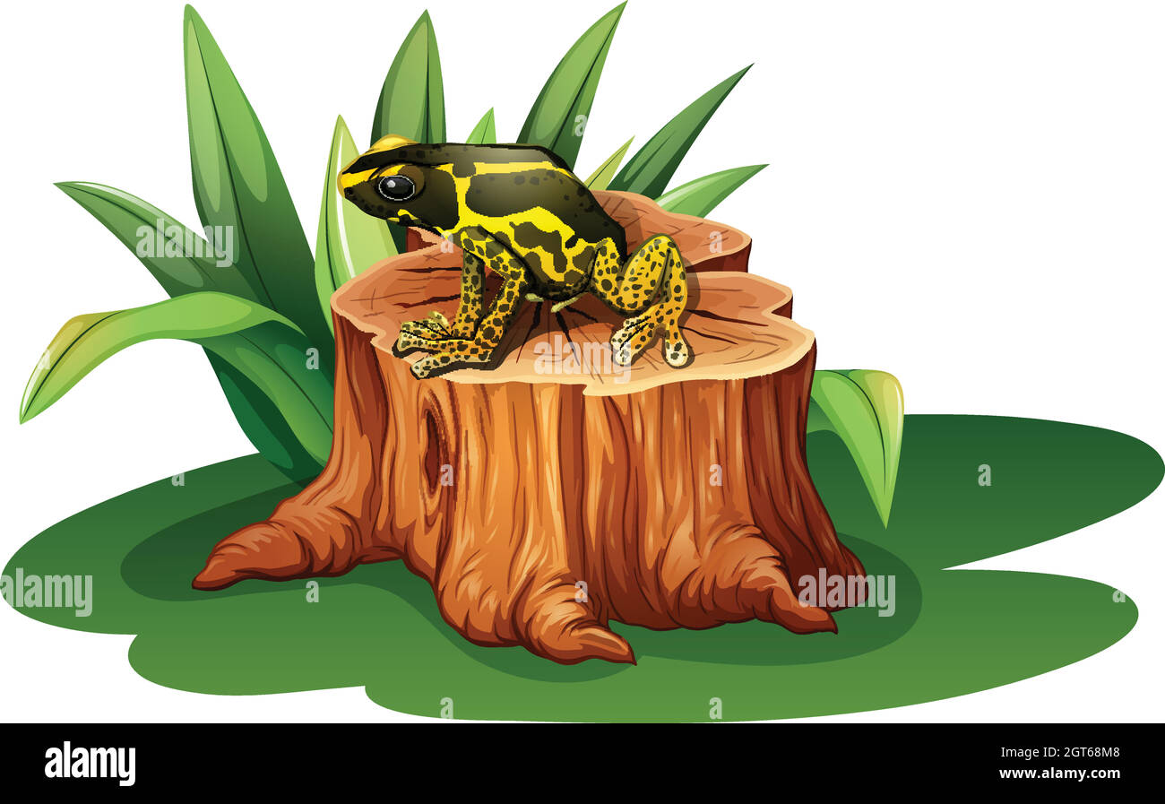 A frog above the stump Stock Vector