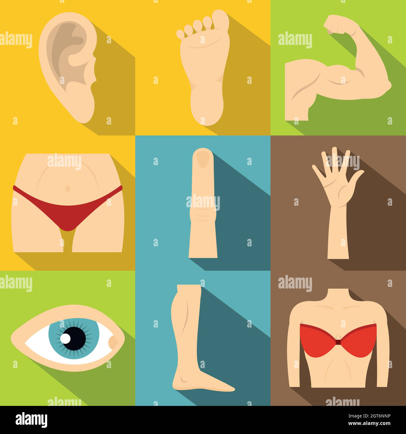 Body parts icons set, flat style Stock Vector