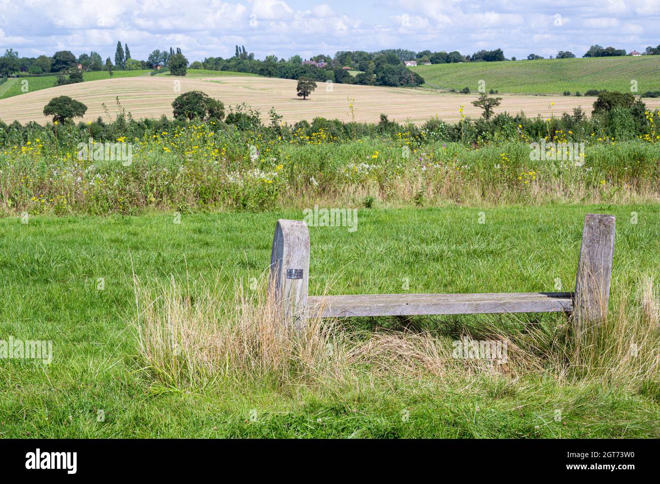 Bench overlooking the big sky meadow and surrounding countryside. Stock Photo