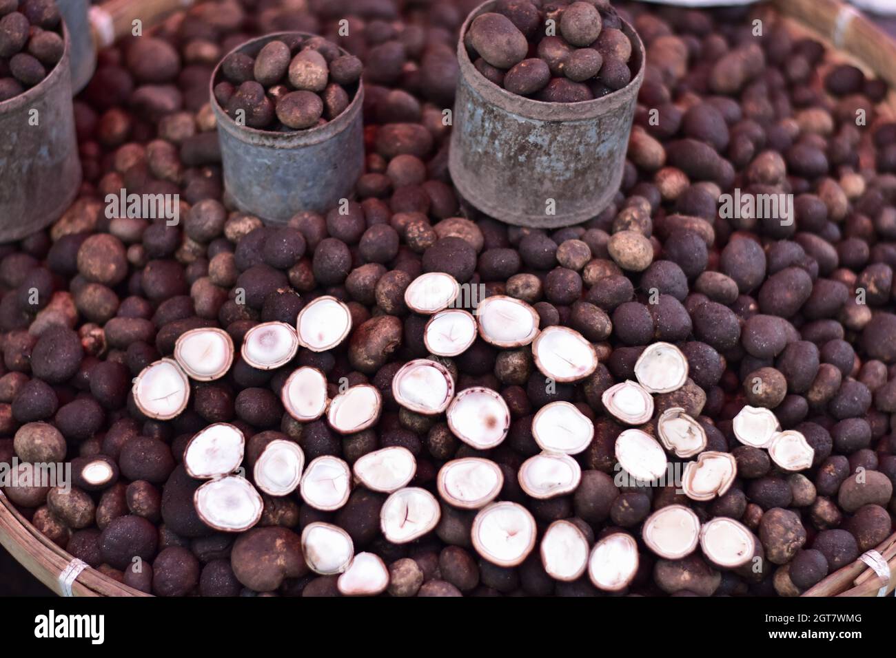 The barometer earthstar hires stock photography and images Alamy