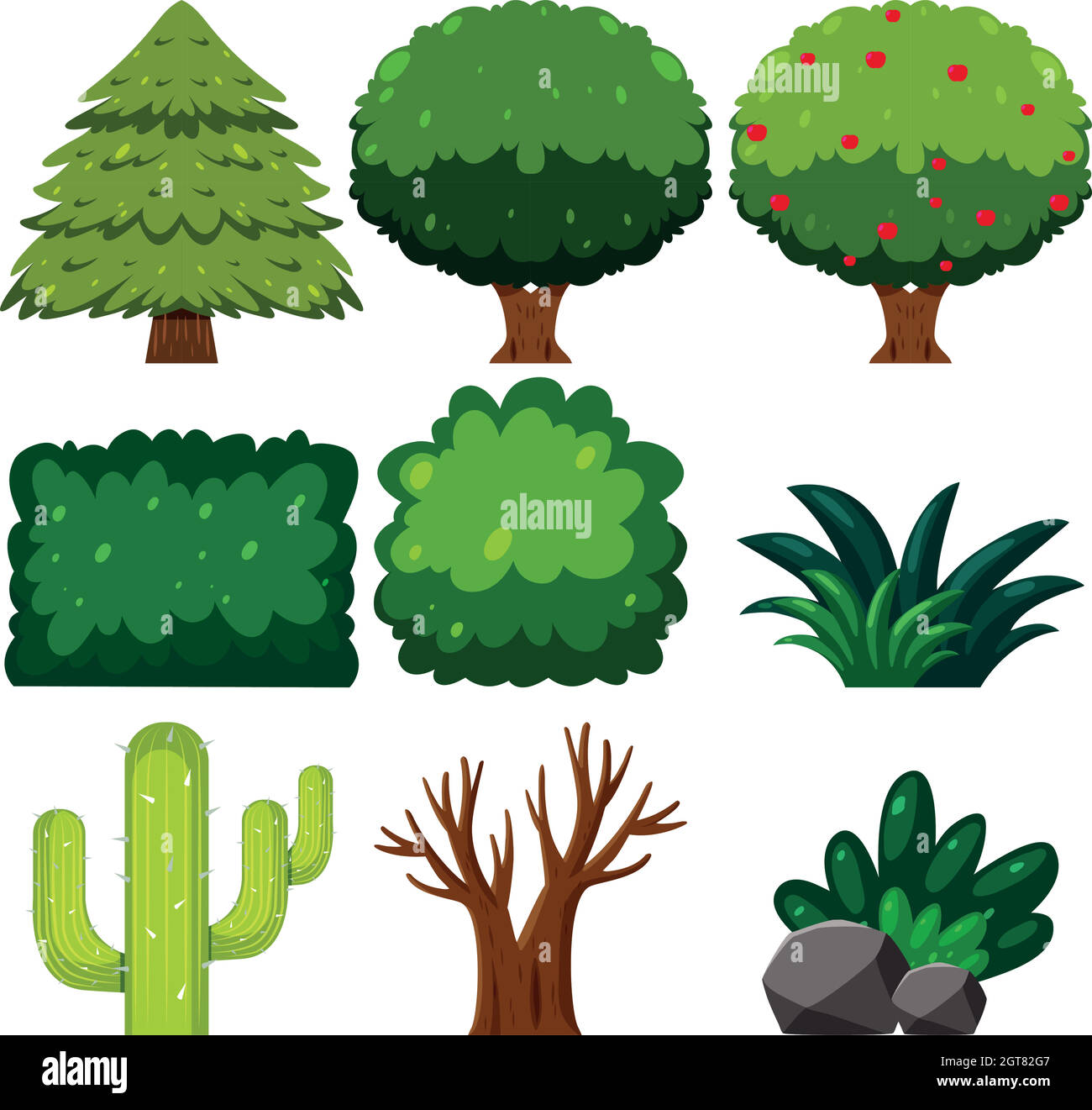 Set of green plant Stock Vector Image & Art - Alamy