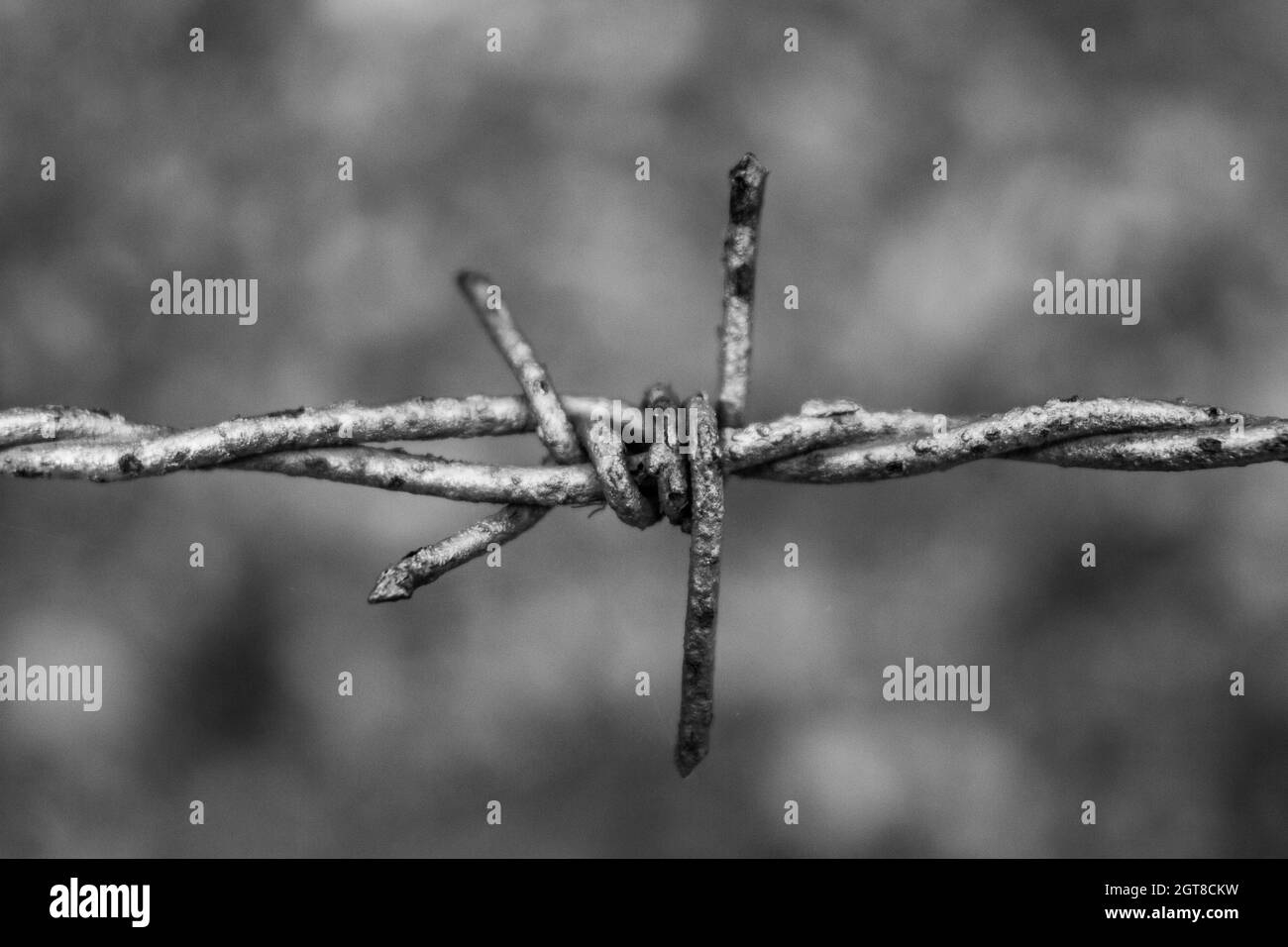 Barbed wire fence fencing Black and White Stock Photos & Images Alamy