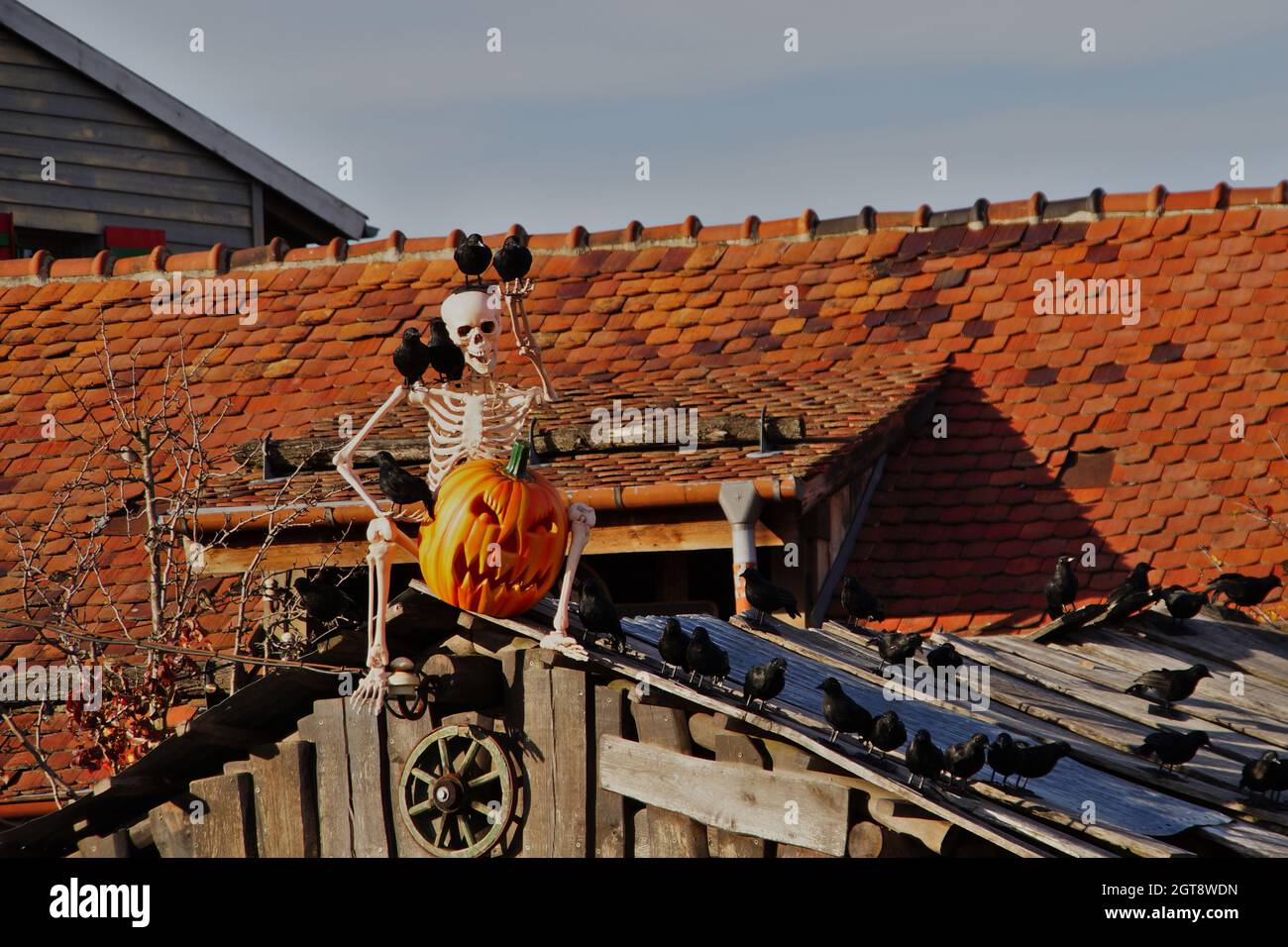 Skeleton On A Roof Of A Building Stock Photo - Alamy