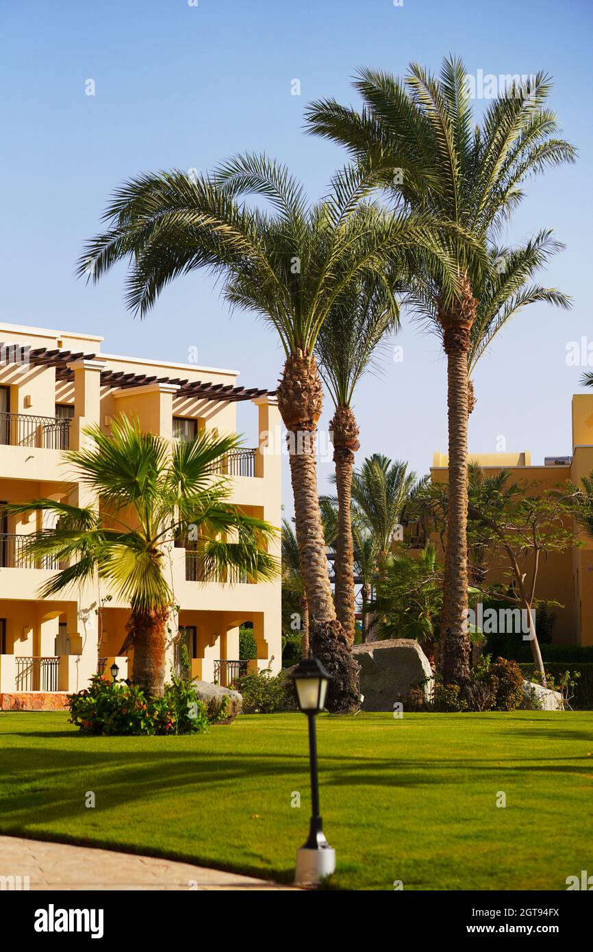 Holiday resort. Luxury Egyptian hotel with palm trees, perfect green lawn and clear blue sky. Stock Photo