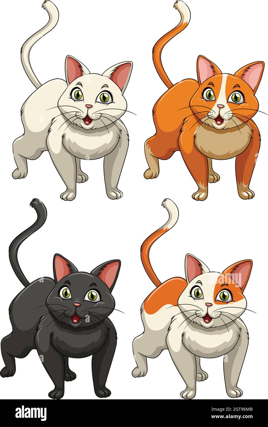 Yong cats in four colours Stock Vector